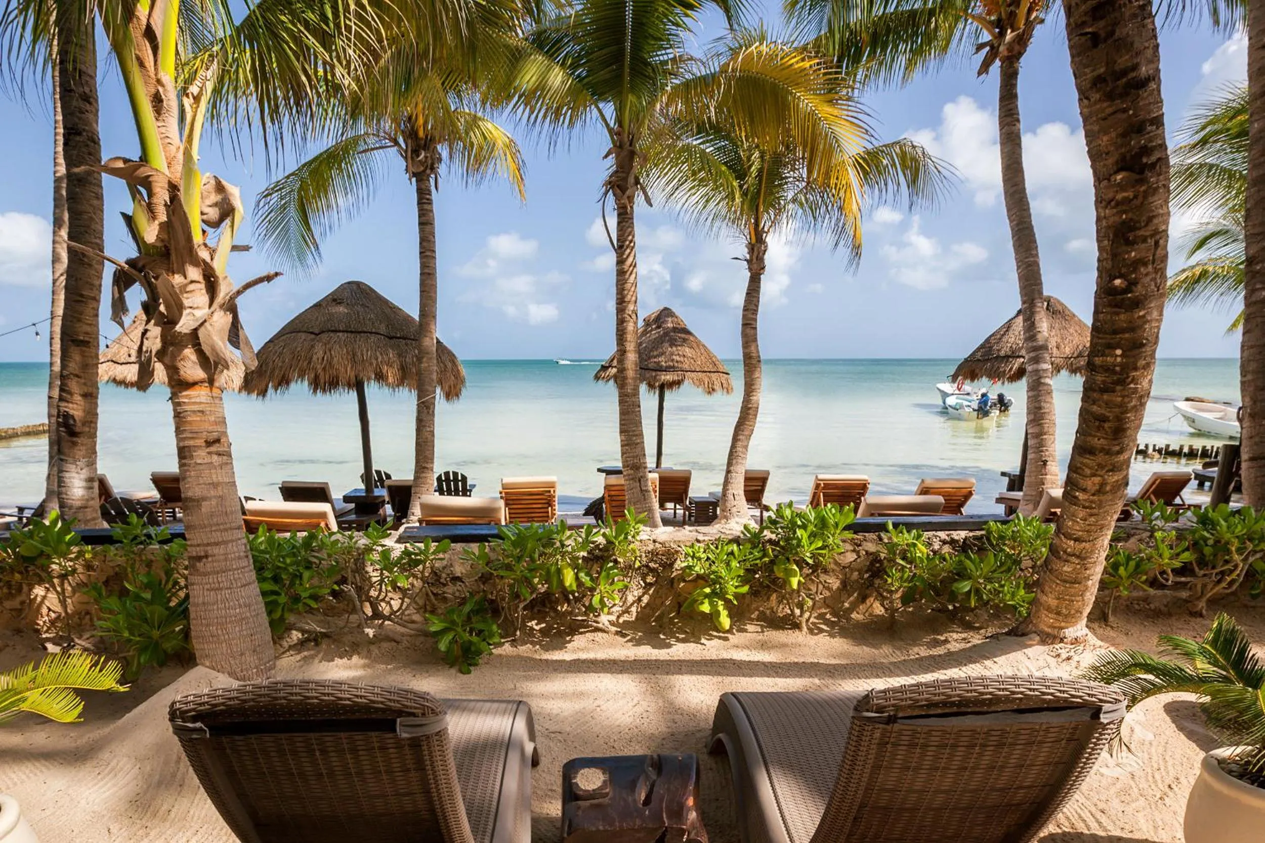 Garden in Beachfront Hotel La Palapa - Adults Only