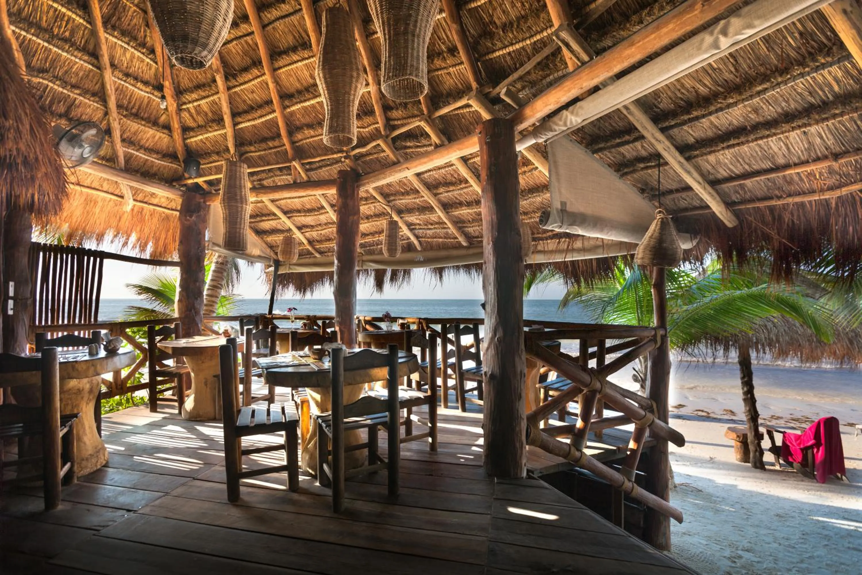 Restaurant/places to eat in Beachfront Hotel La Palapa - Adults Only