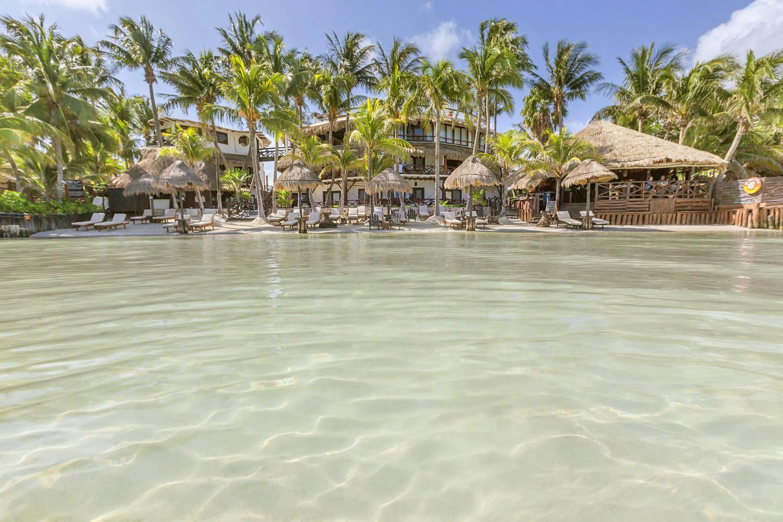 Facade/entrance in Beachfront Hotel La Palapa - Adults Only