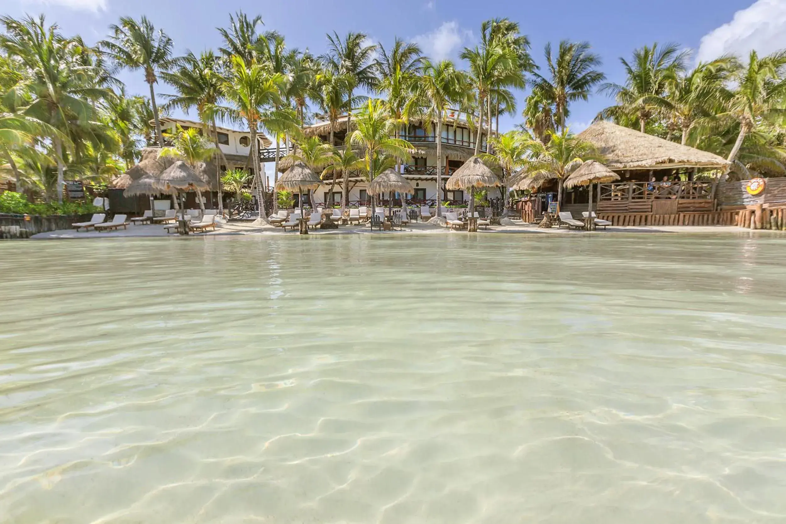 Facade/entrance in Beachfront Hotel La Palapa - Adults Only Facade/entrance in Beachfront Hotel La Palapa - Adults Only