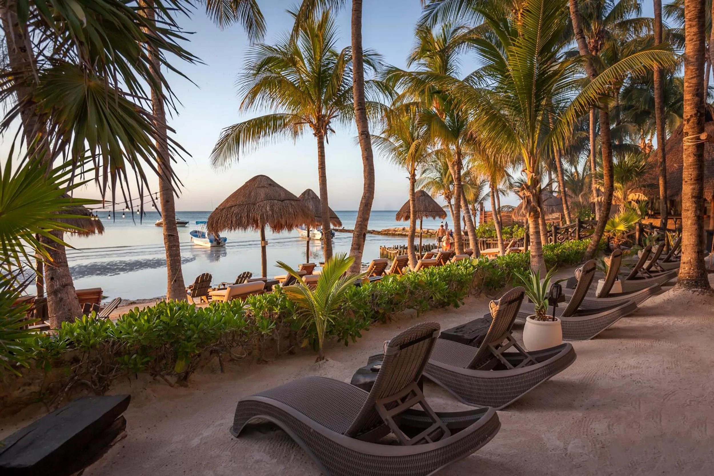 Garden in Beachfront Hotel La Palapa - Adults Only