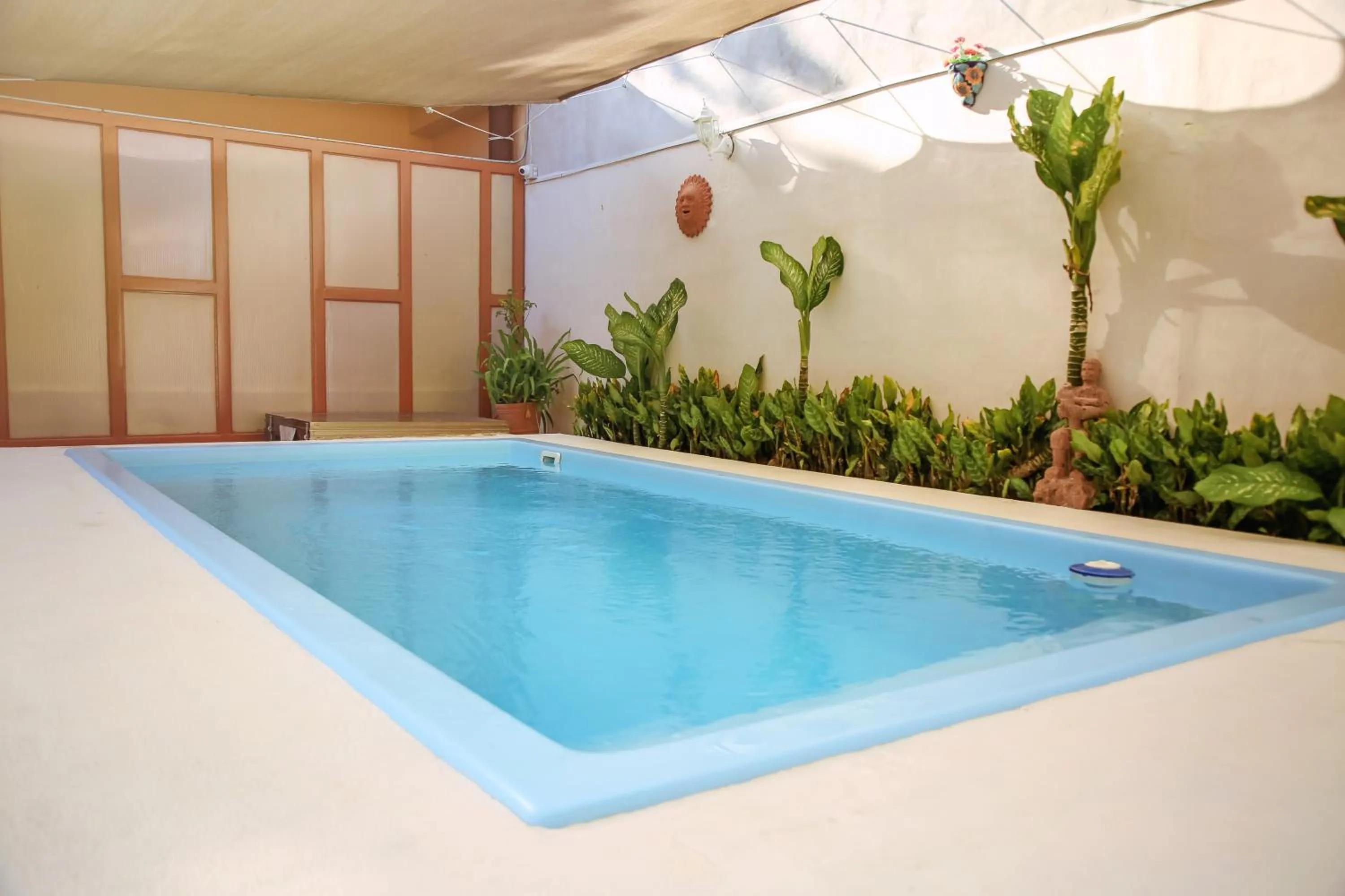 Swimming pool in Casa Saab