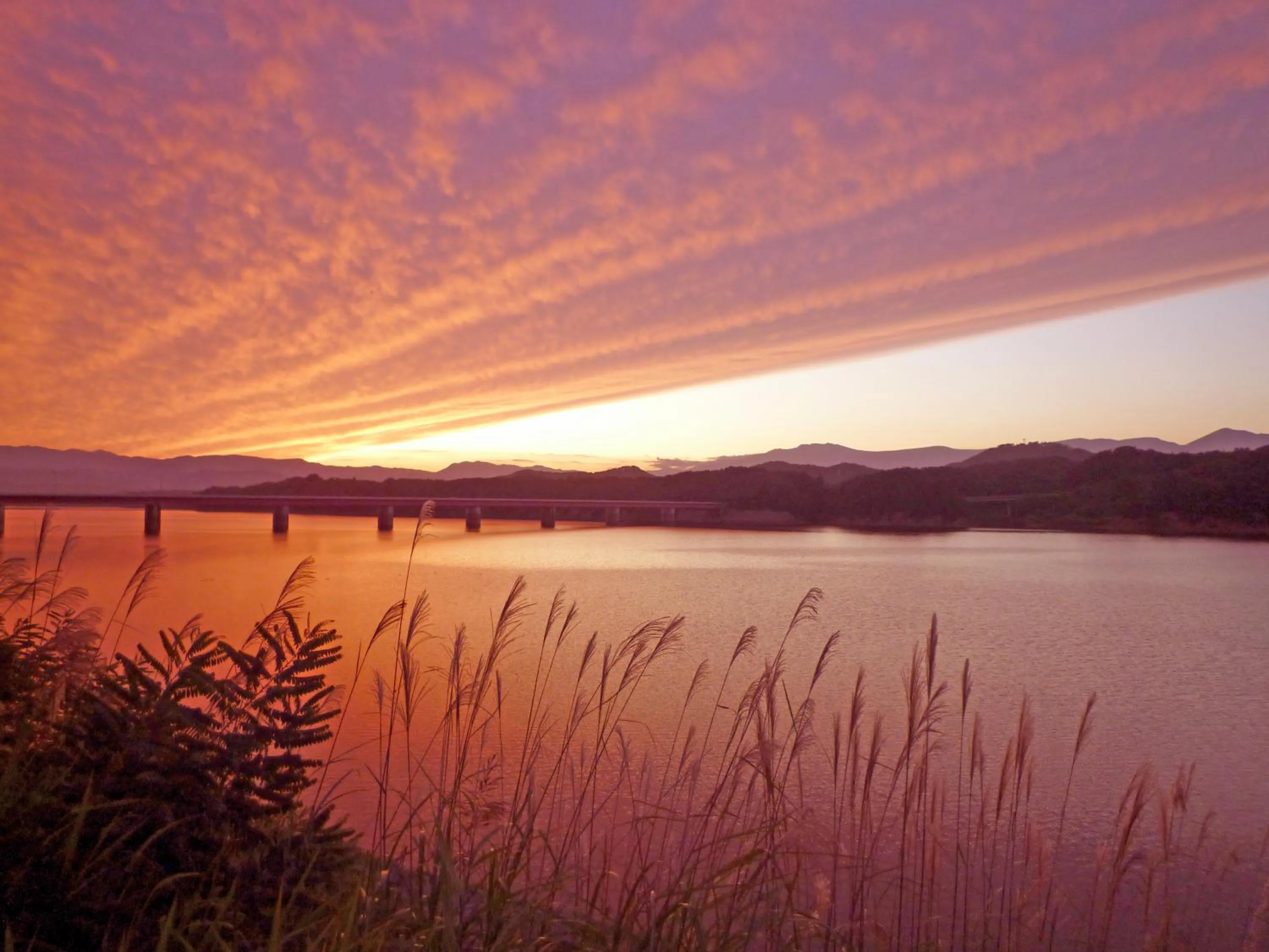 Natural landscape in Hotel Shion
