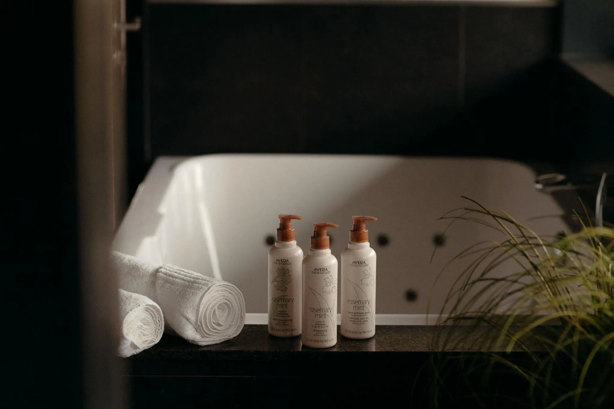 Spa and wellness centre/facilities in Hotel Gastronomique de Echoput