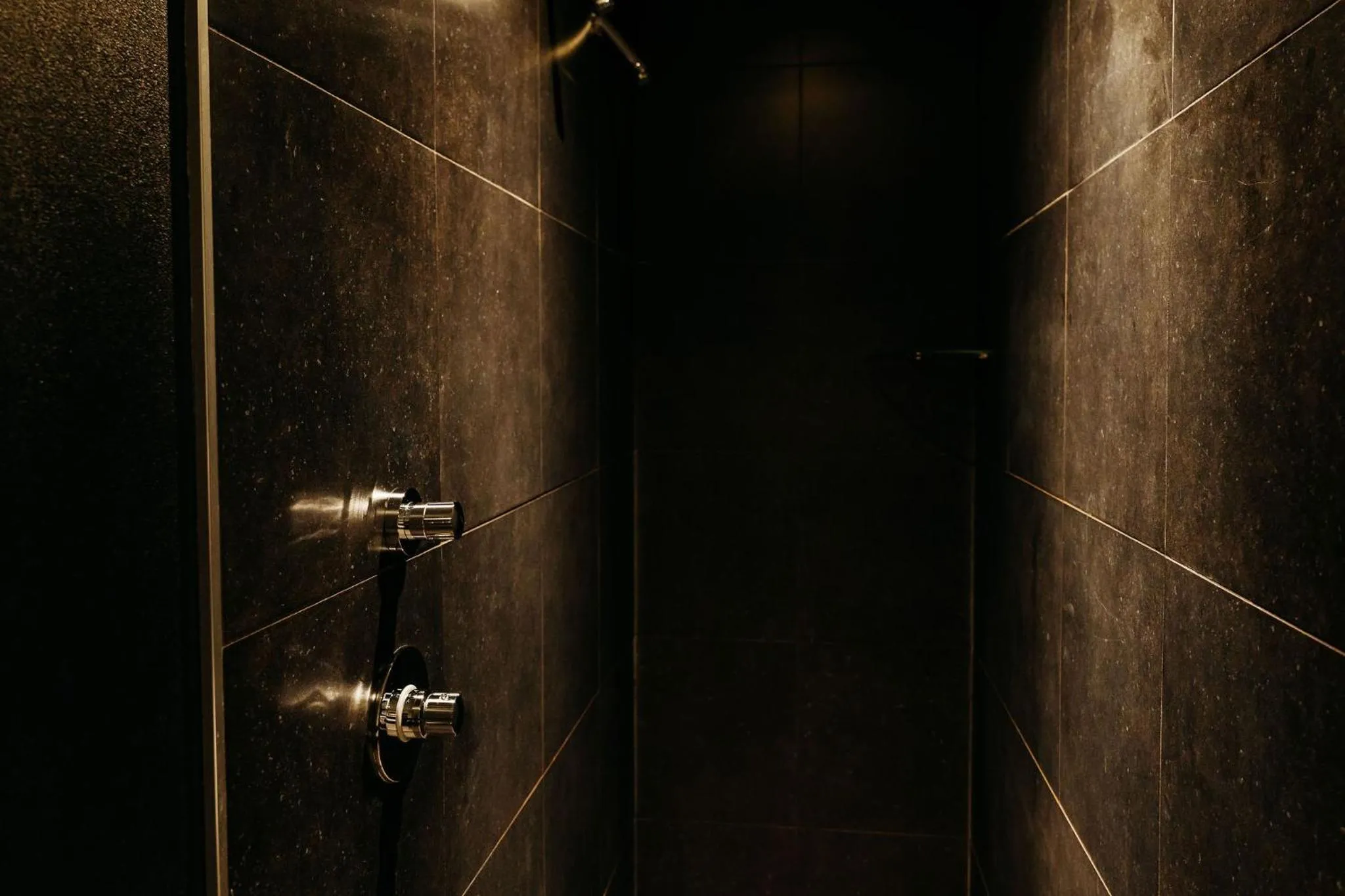 Shower in Hotel Gastronomique de Echoput