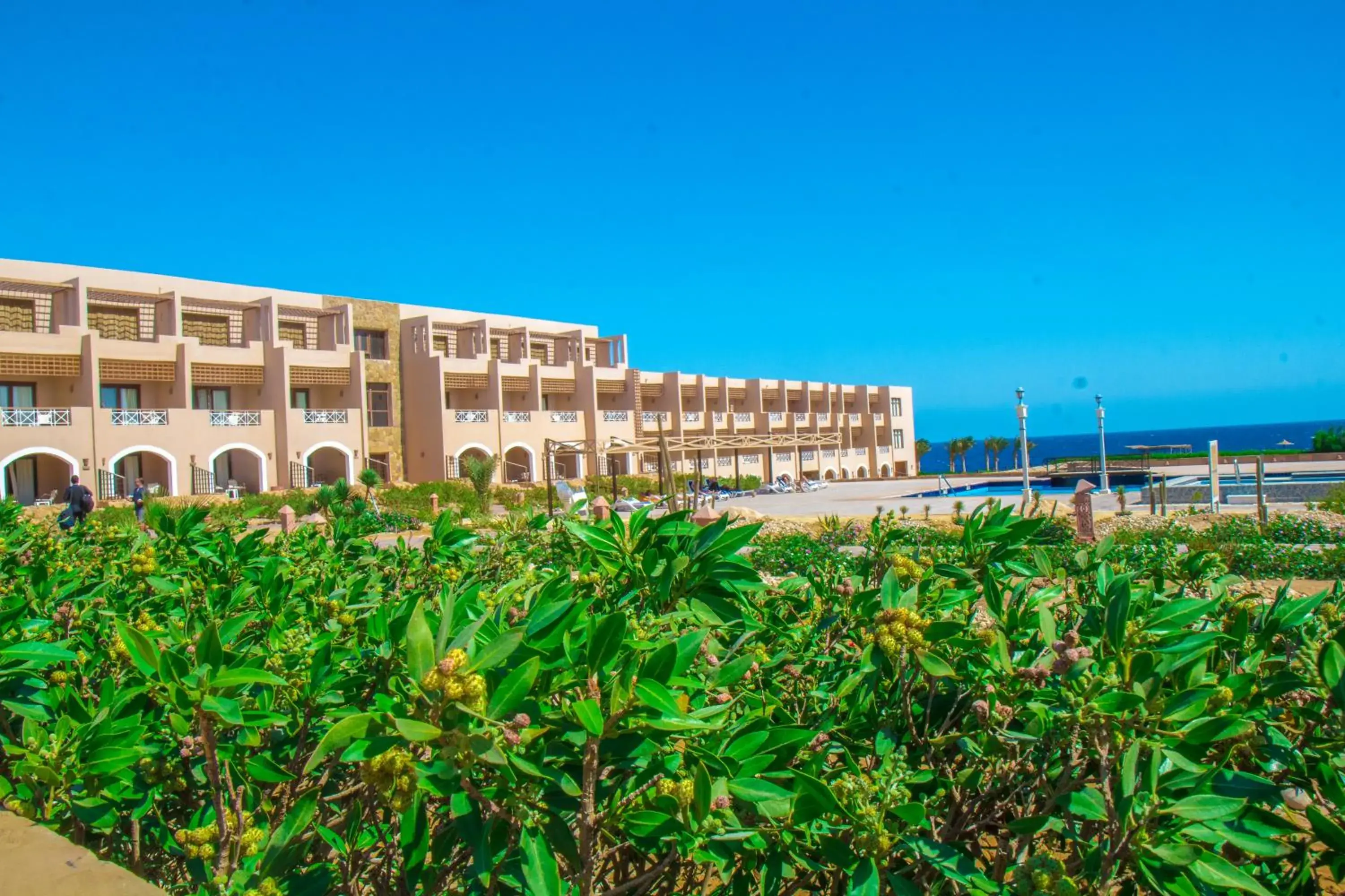 Property Building in Viva Blue Resort and Diving Sharm El Naga (Adults Only)