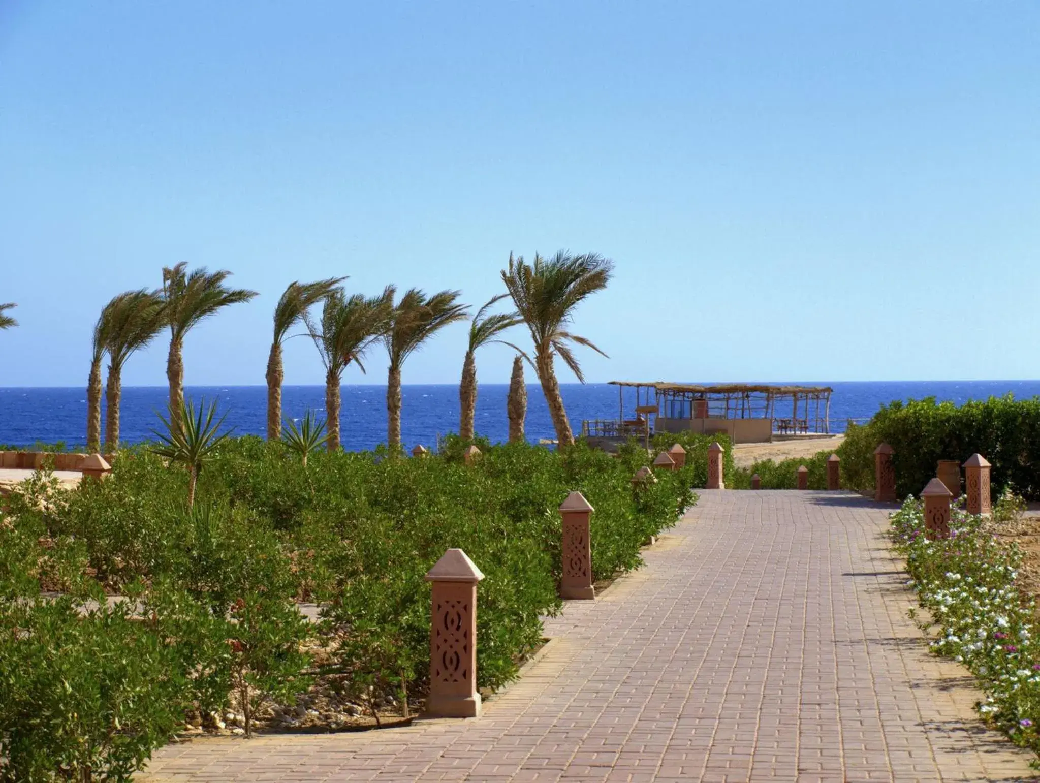 Natural landscape in Viva Blue Resort and Diving Sharm El Naga (Adults Only)