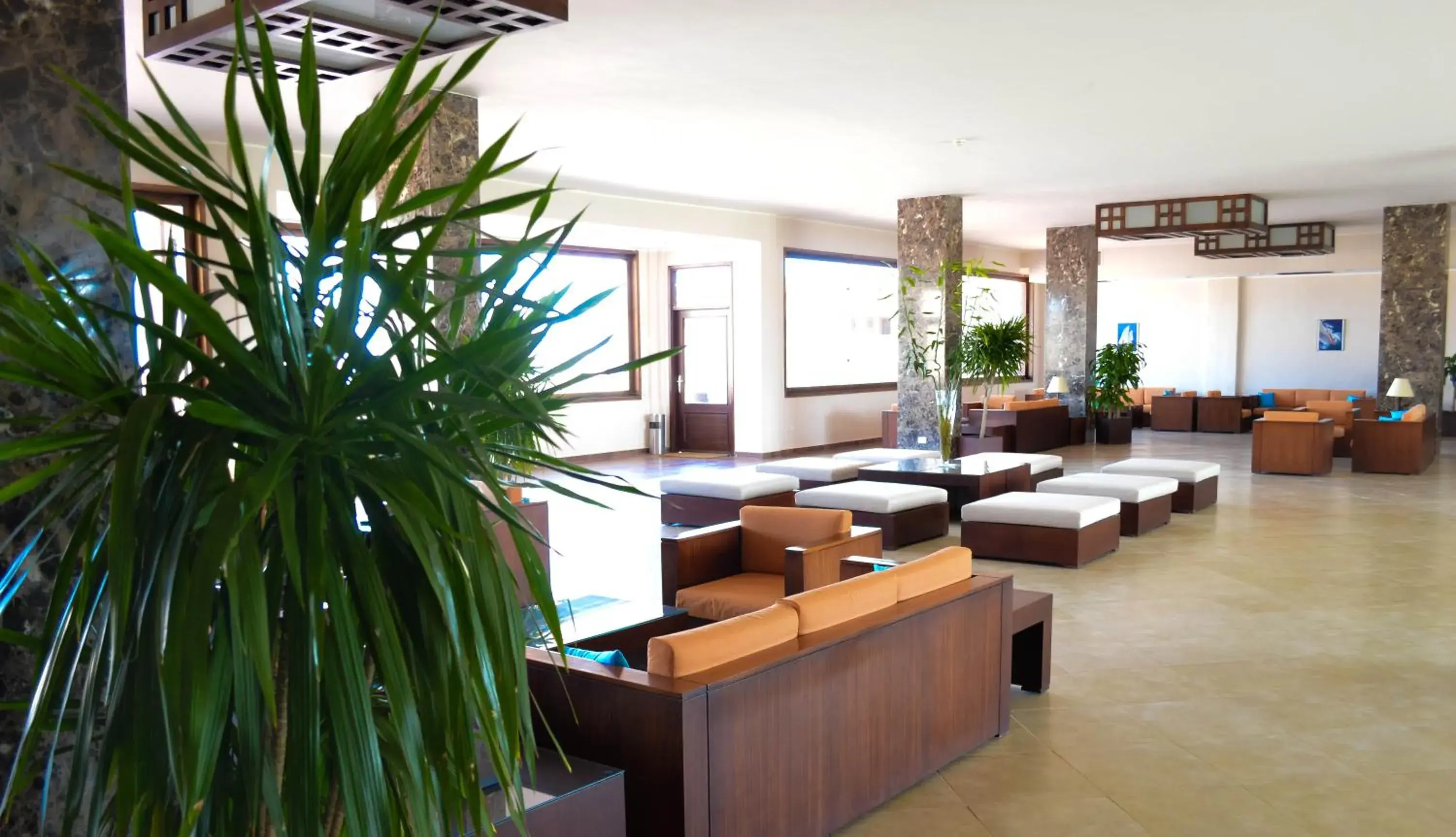 Lobby or reception, Lobby/Reception in Viva Blue Resort and Diving Sharm El Naga (Adults Only)