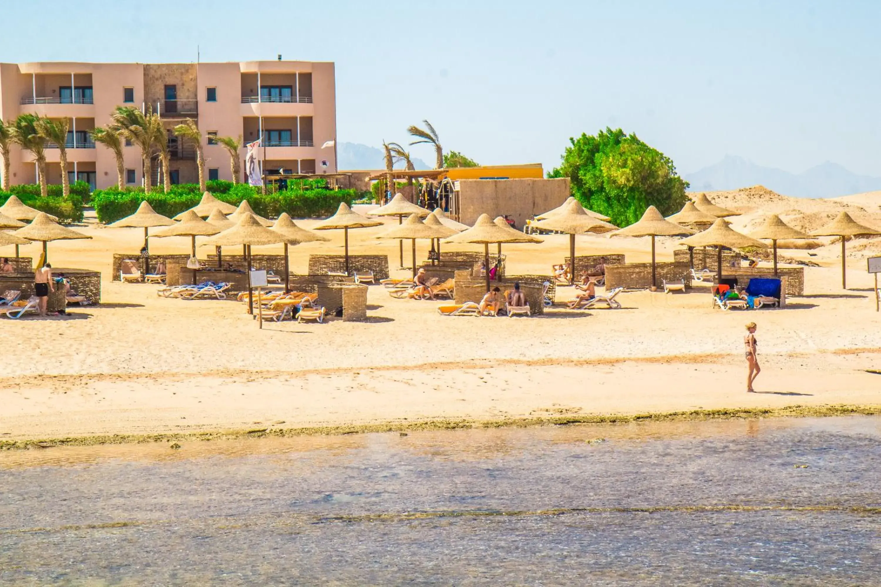 Beach in Viva Blue Resort and Diving Sharm El Naga (Adults Only)