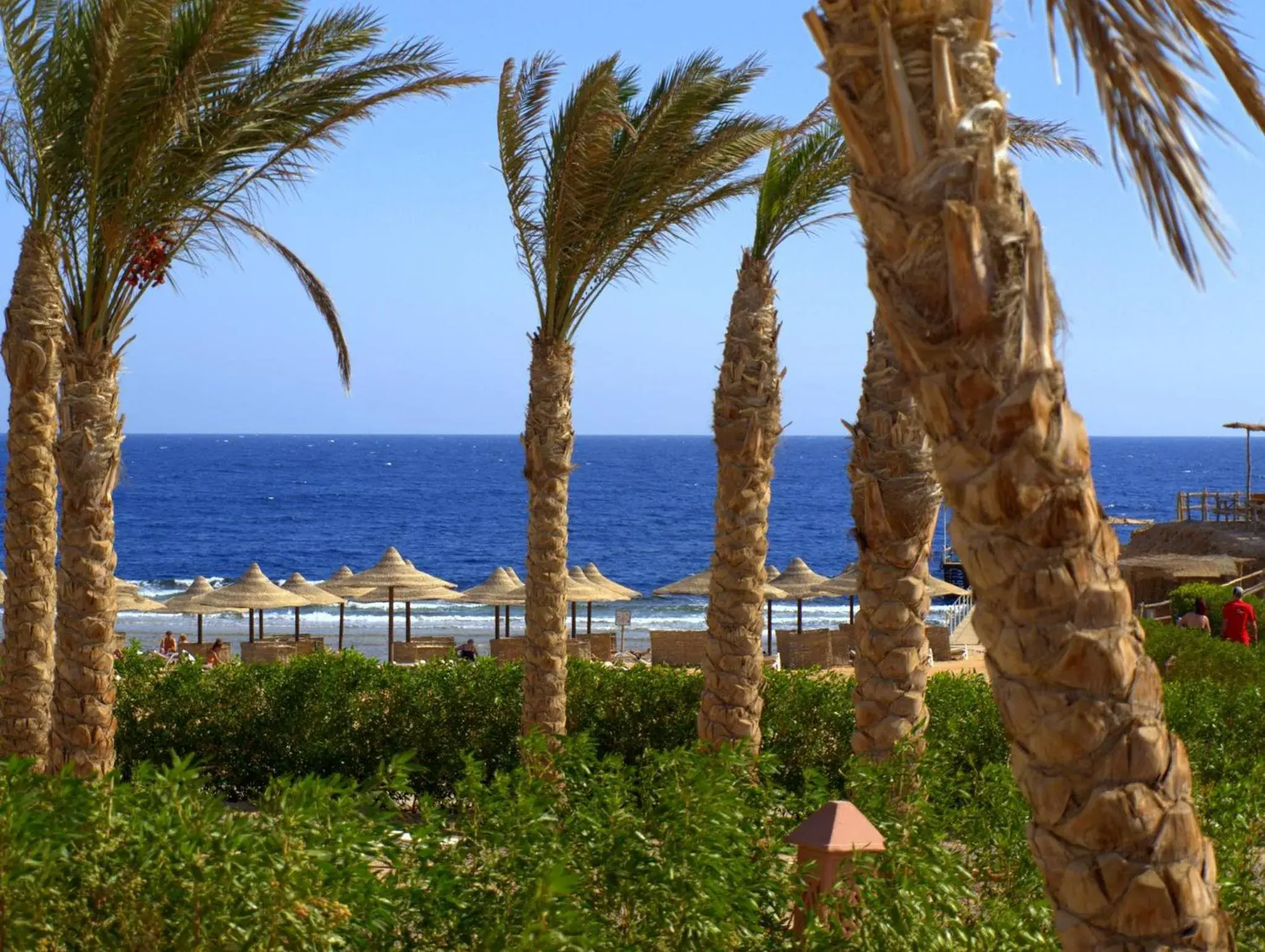 Natural landscape in Viva Blue Resort and Diving Sharm El Naga (Adults Only)