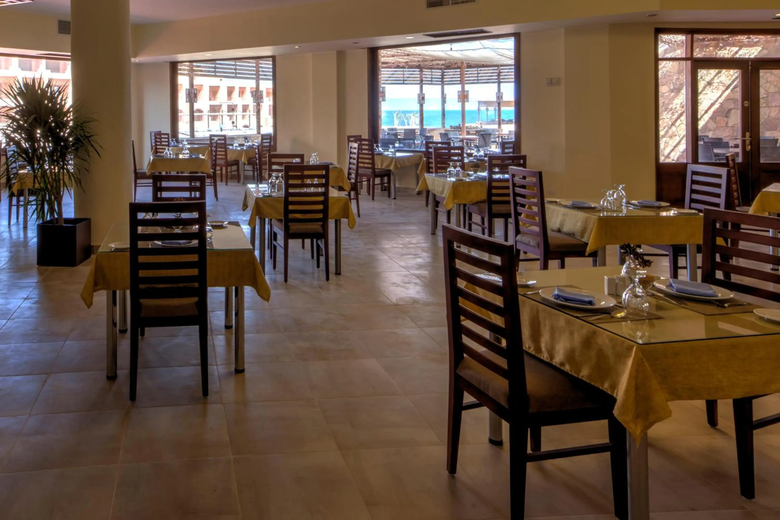 Restaurant/places to eat in Viva Blue Resort and Diving Sharm El Naga (Adults Only)