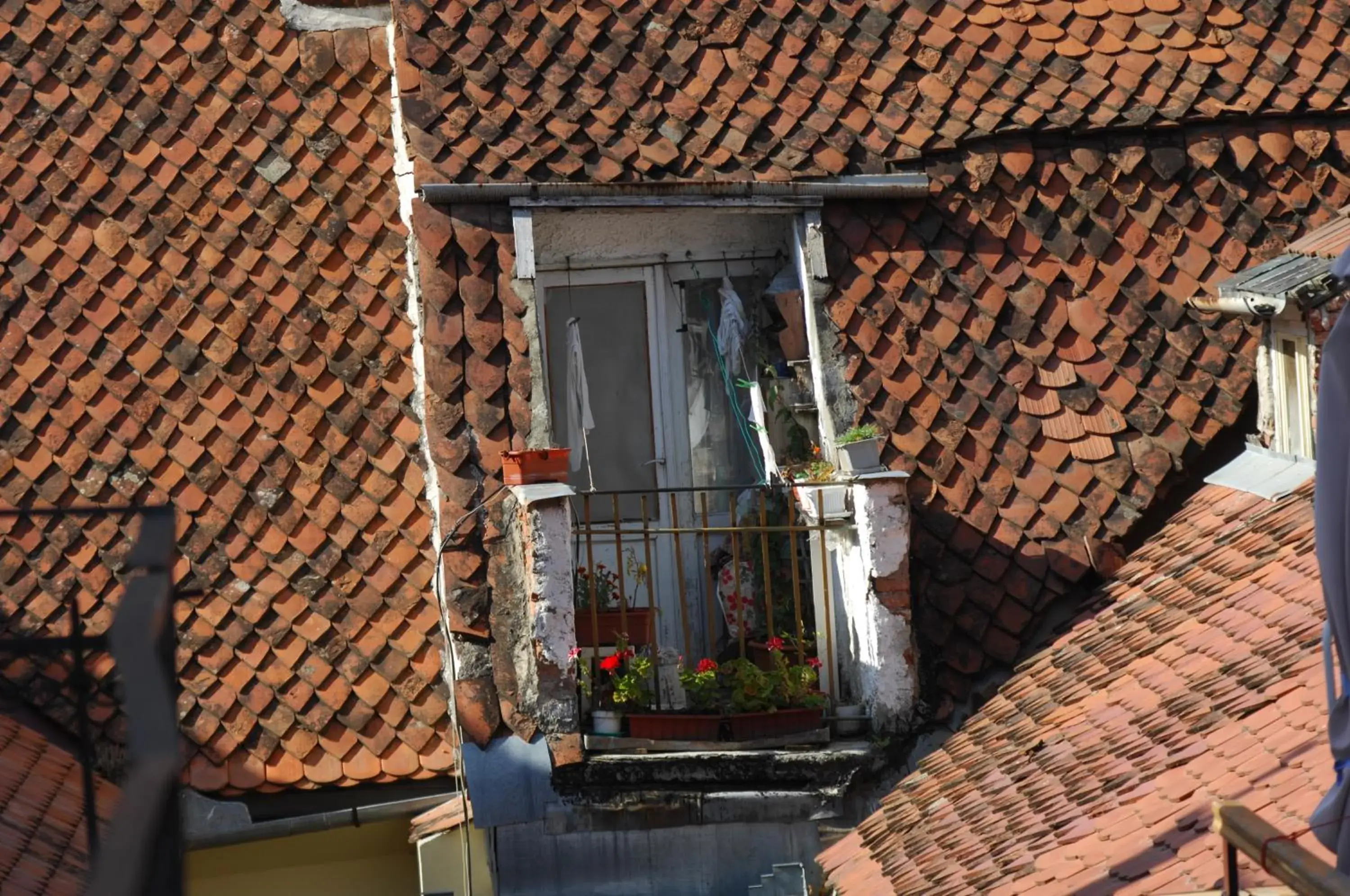 View (from property/room) in Main Square Apartments & More View (from property/room) in Main Square Apartments & More