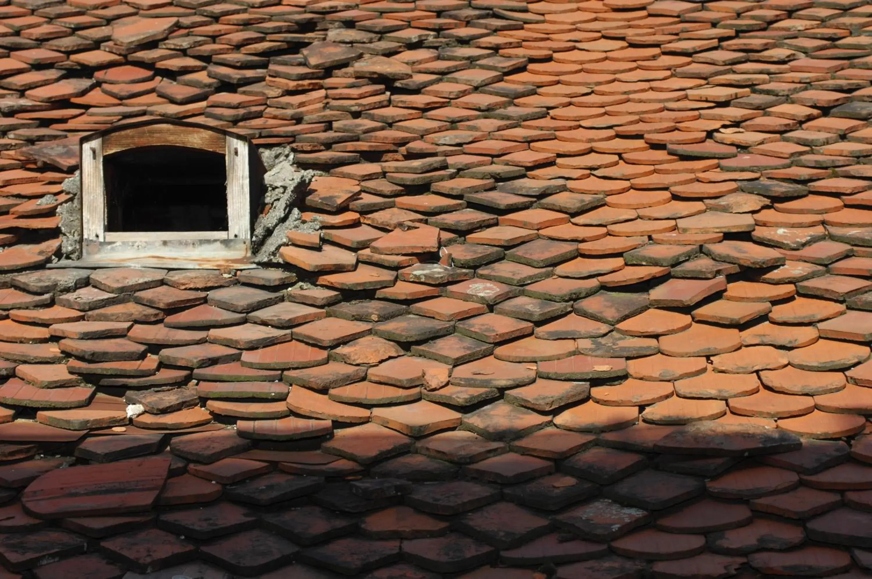 View (from property/room) in Main Square Apartments & More View (from property/room) in Main Square Apartments & More