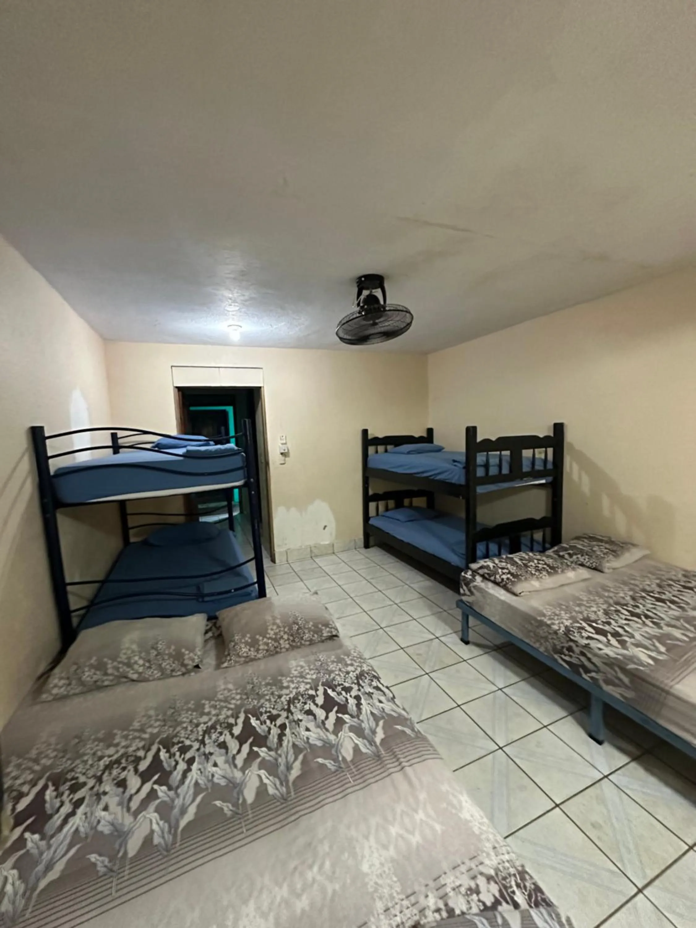 Photo of the whole room in Wide Mouth Frog Conchal