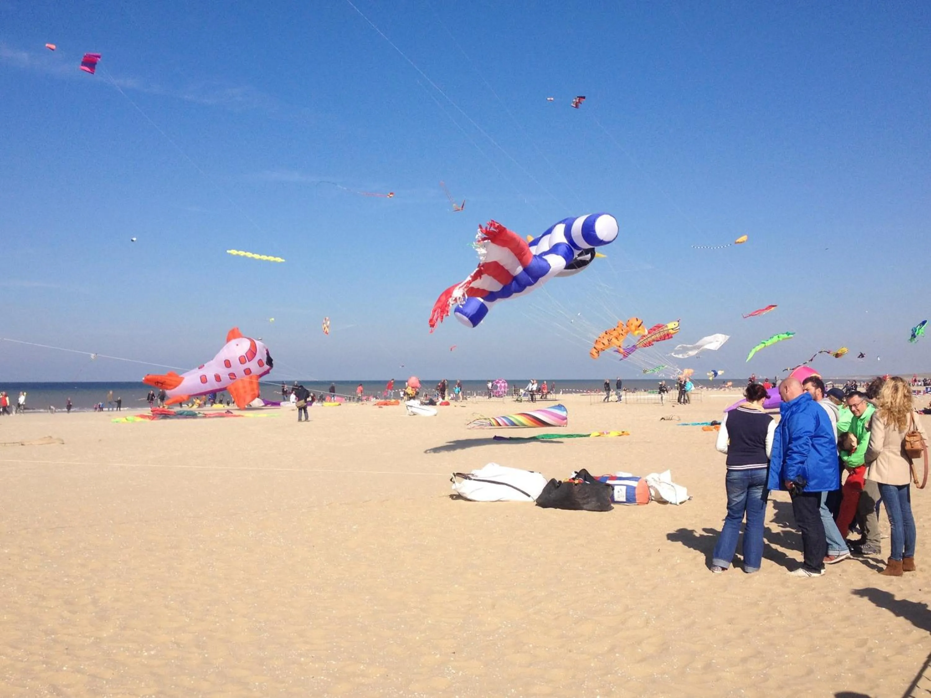 Beach in B & B Villa Suisse
