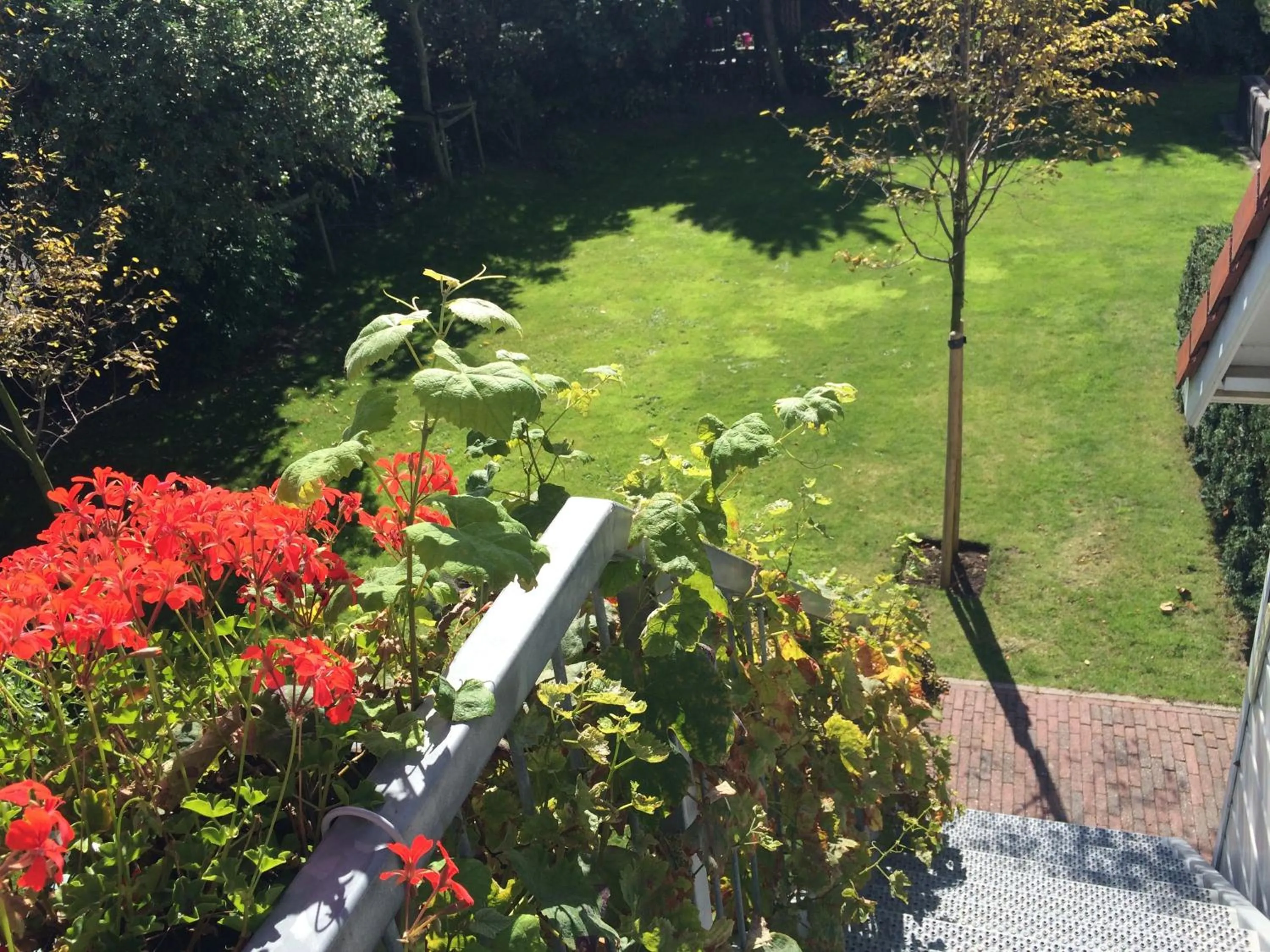 Facade/entrance in B & B Villa Suisse