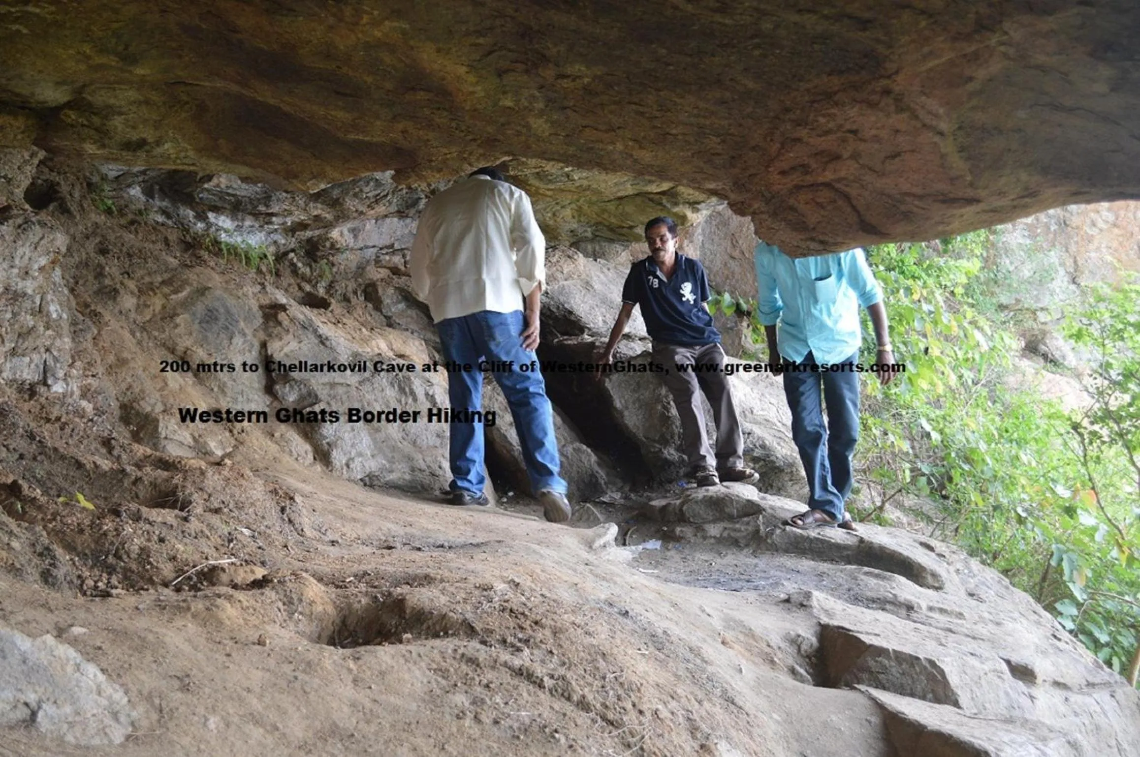 Area and facilities in Green Ark Resorts