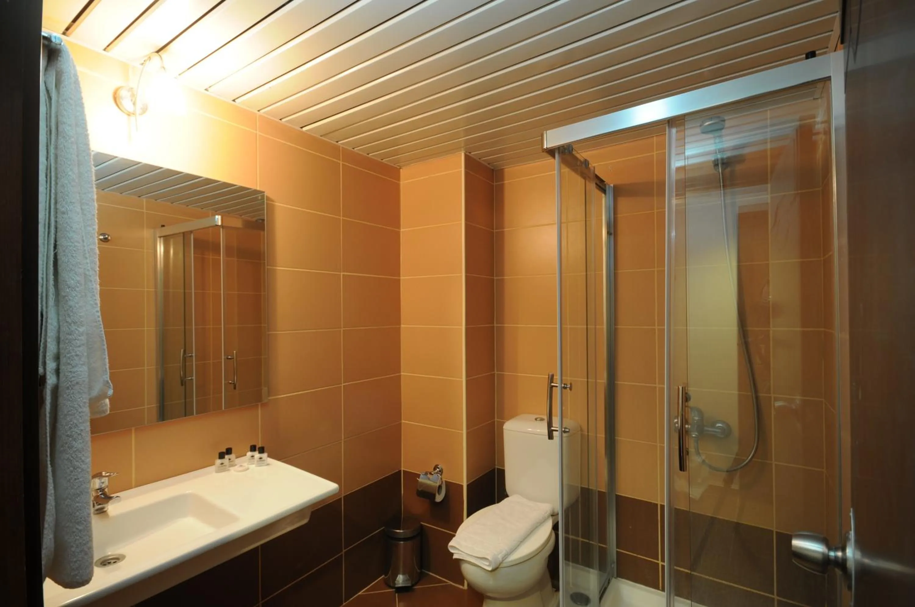 Bathroom in Palmea Hotel