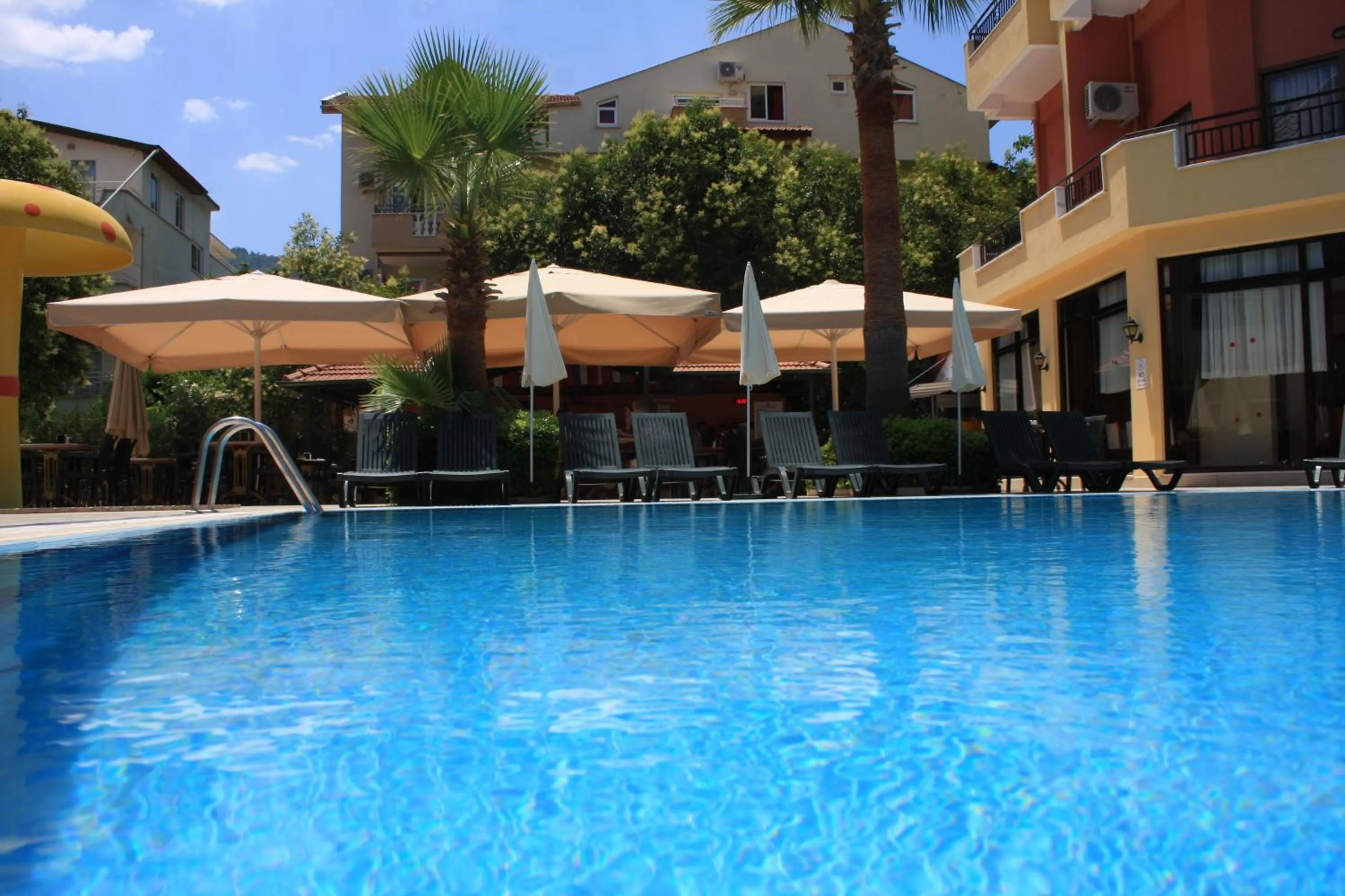 Swimming pool in Palmea Hotel