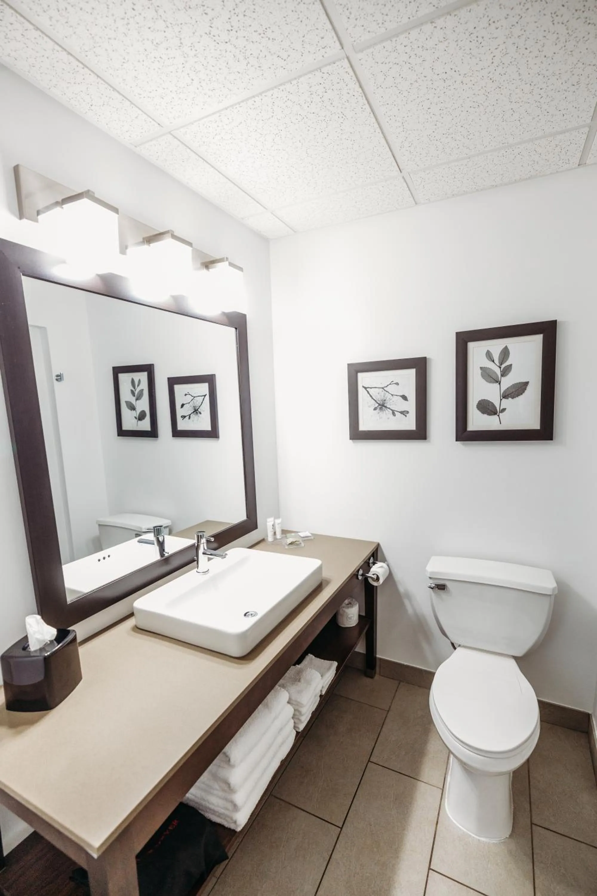 Bathroom in Parkview Inn & Suites, Lancaster Amish Country, PA