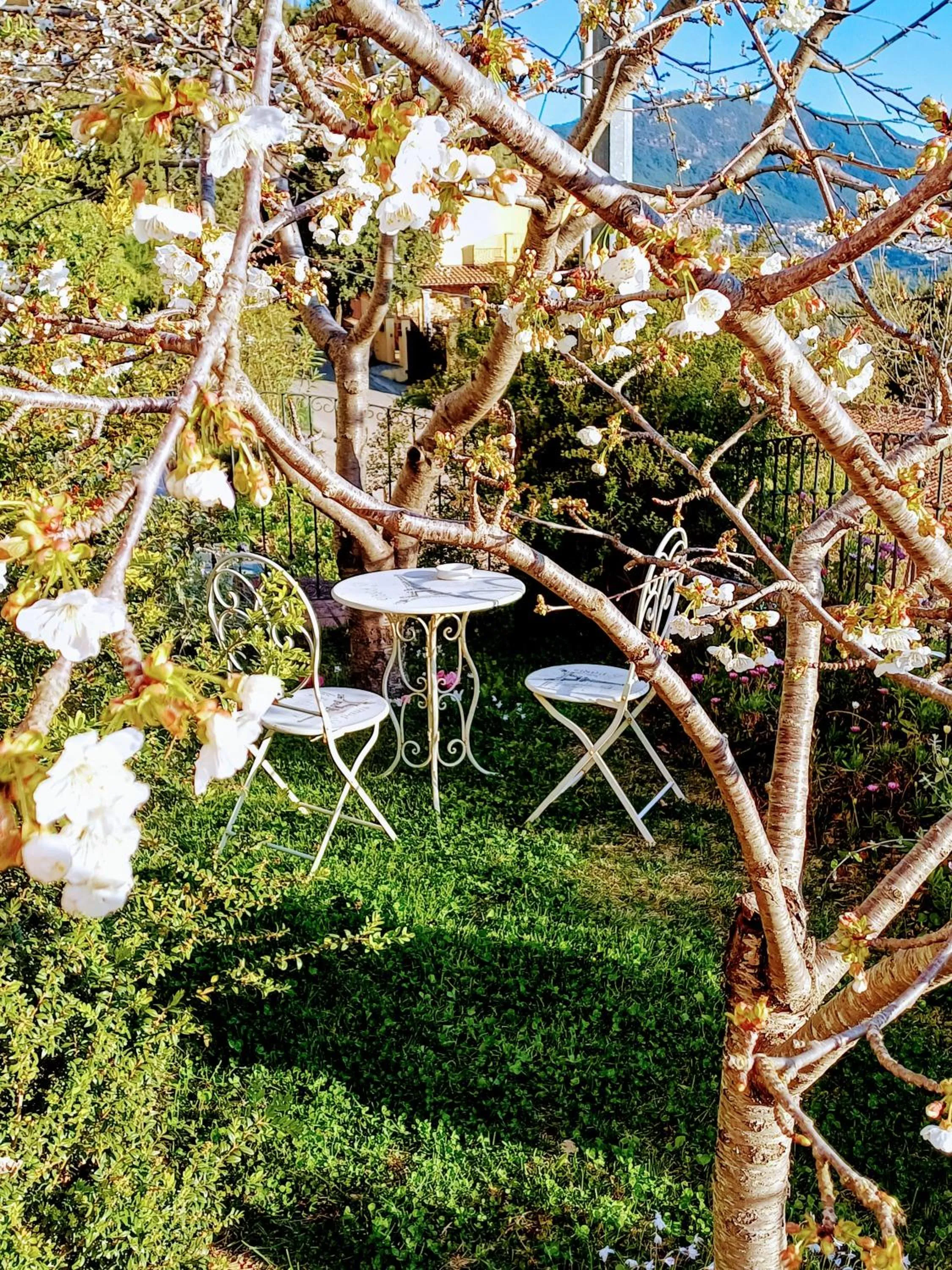 Spring in Monti e Mare