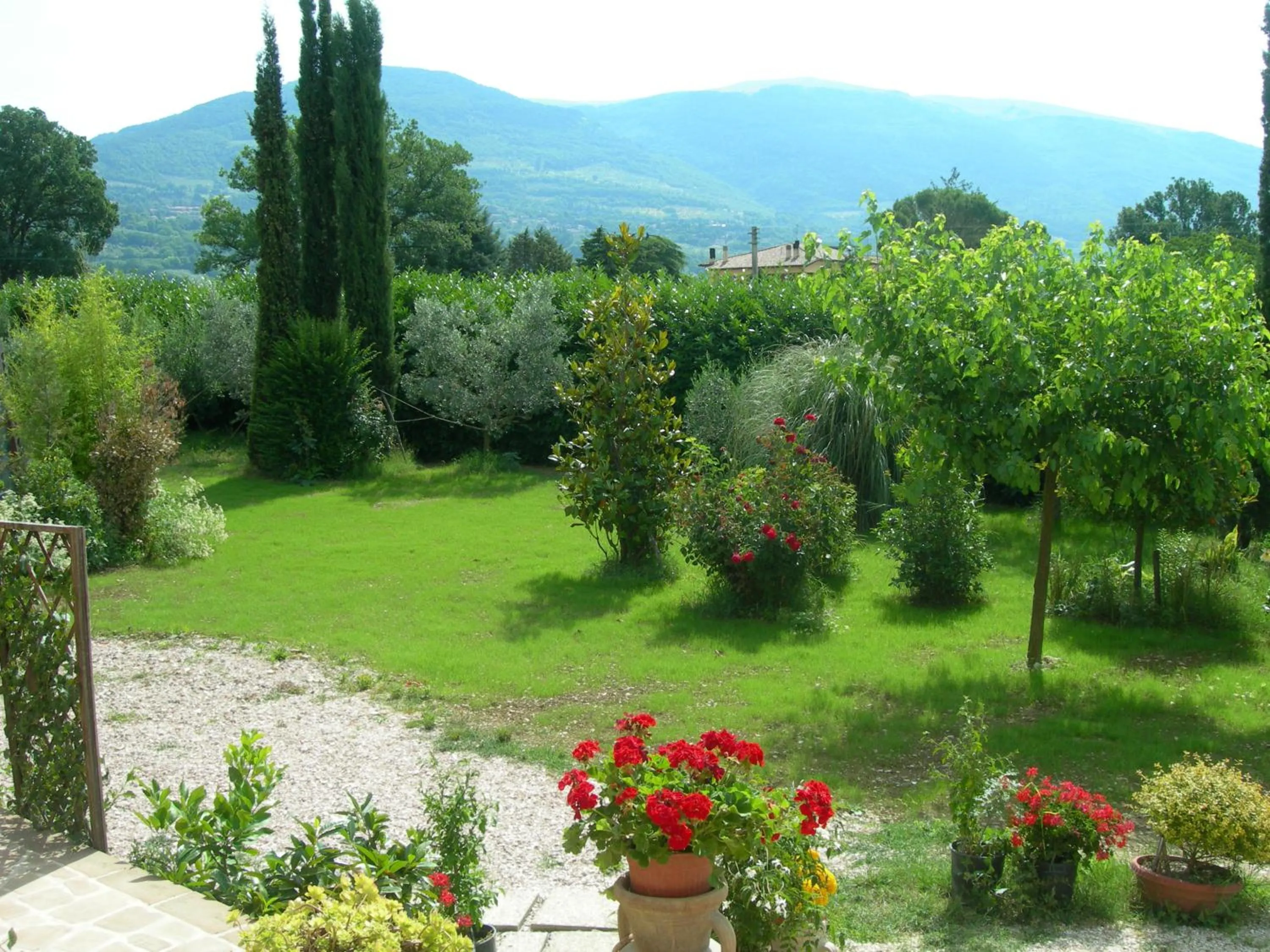 Vista Assisi