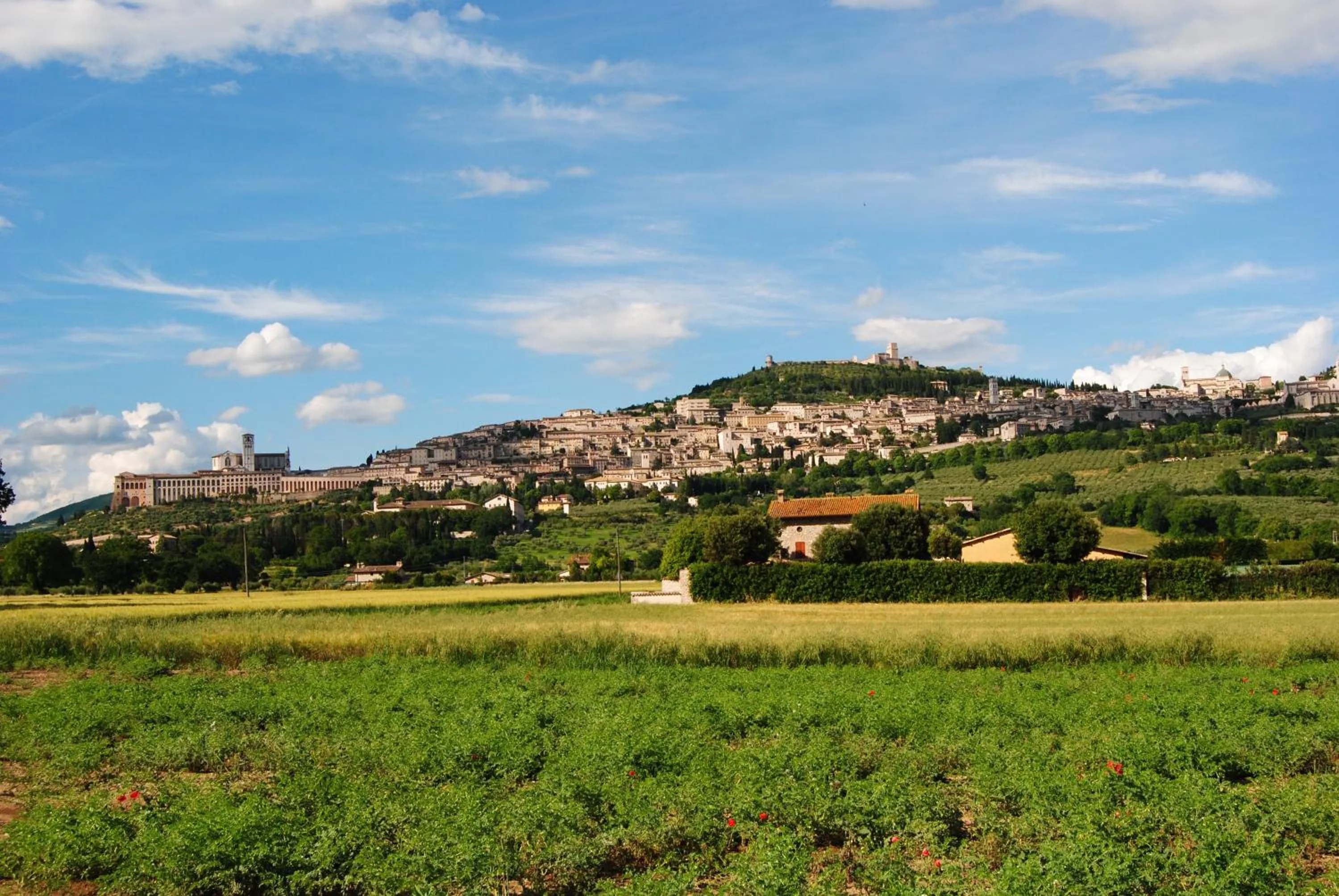 Vista Assisi