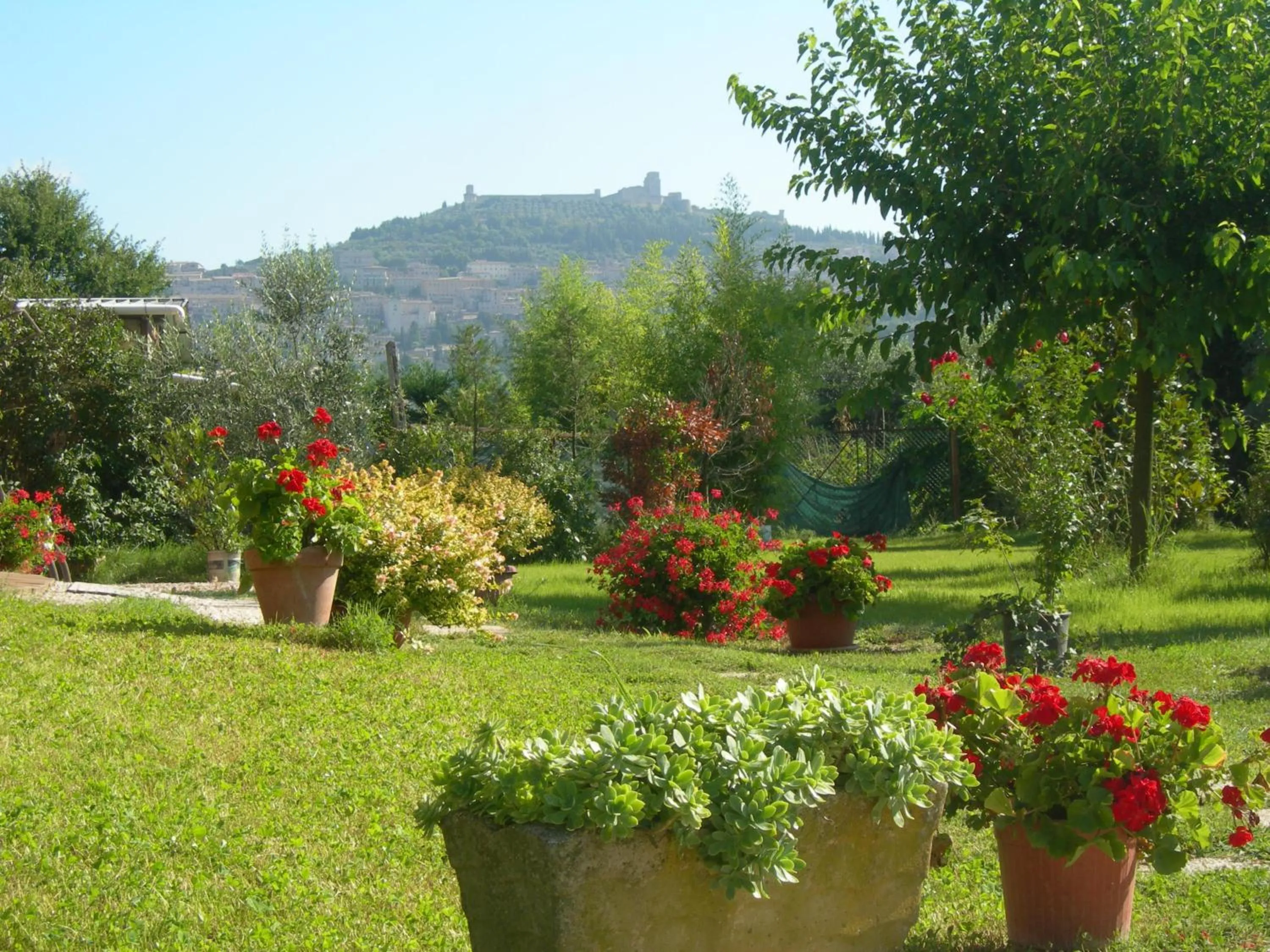 Vista Assisi