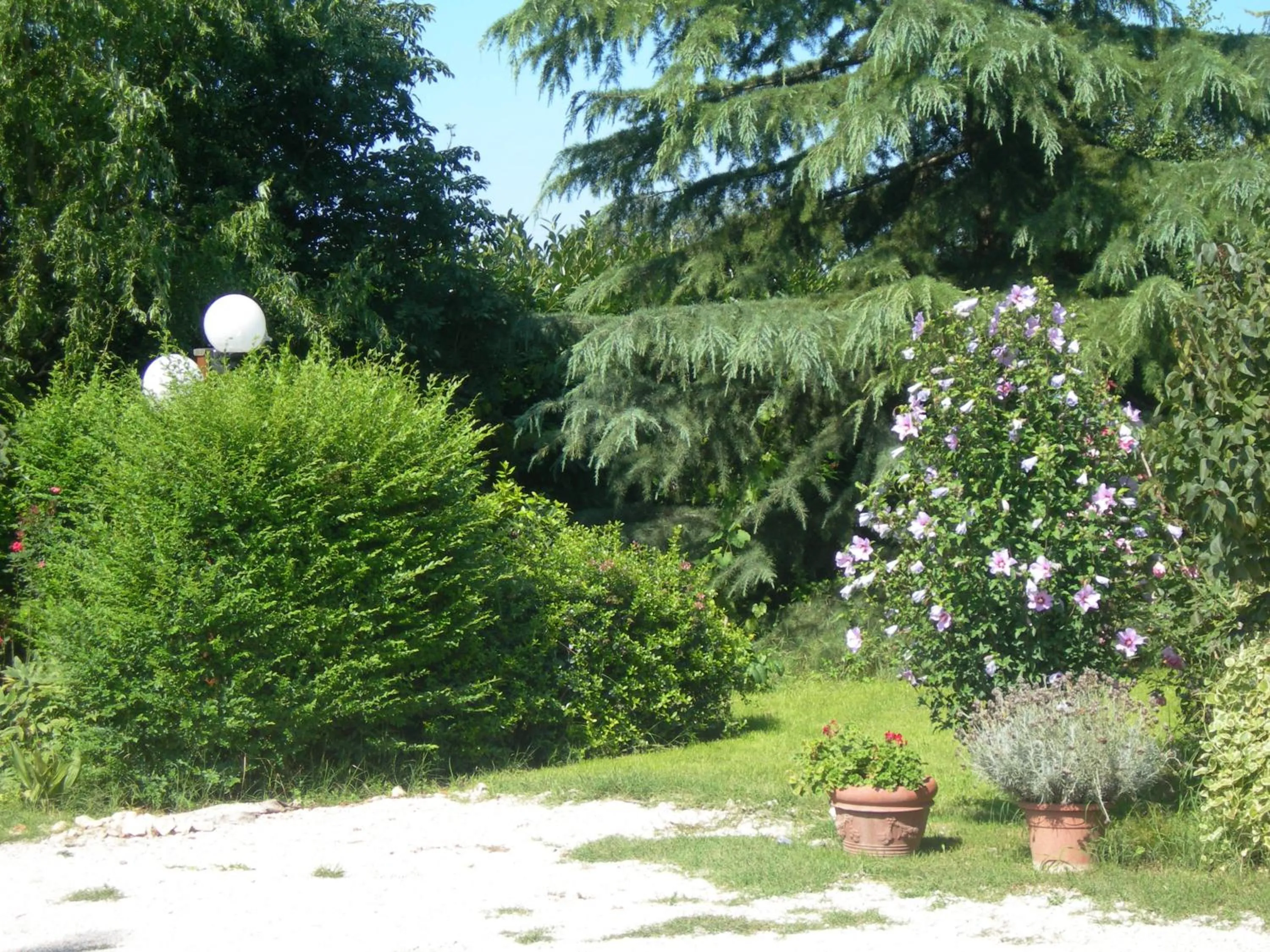 Vista Assisi