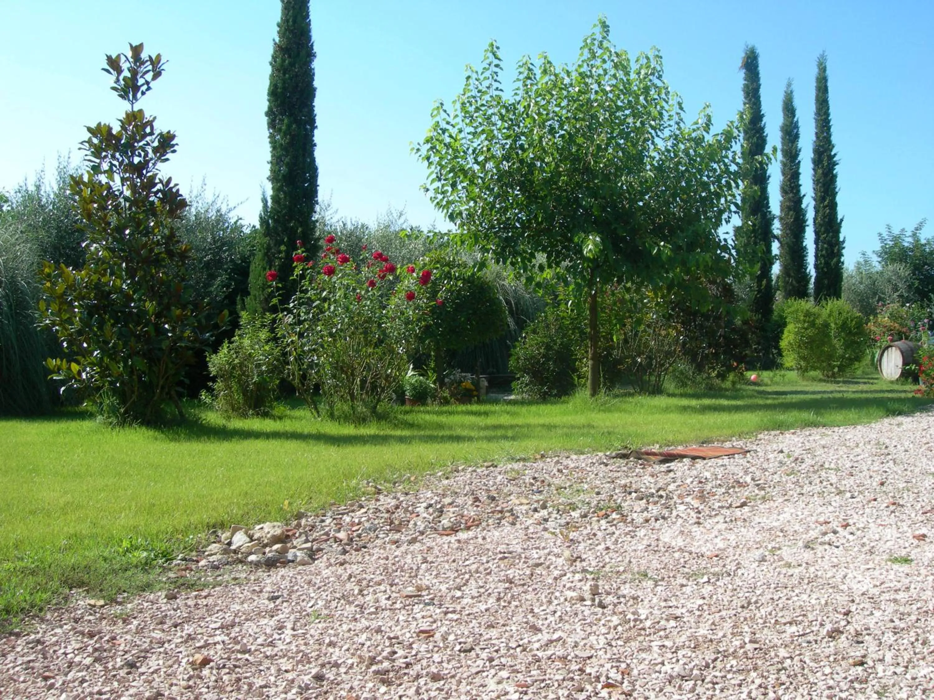 Vista Assisi