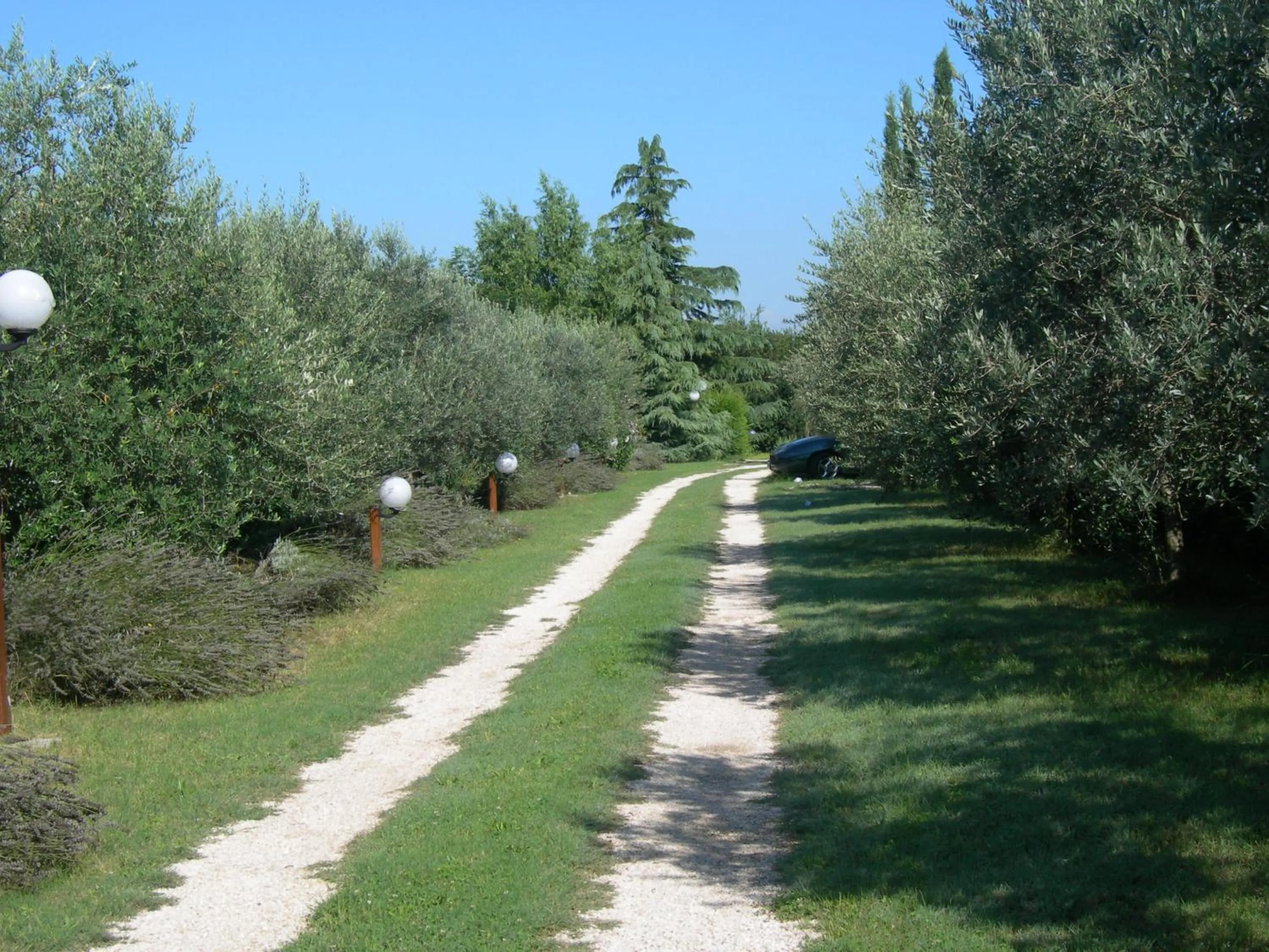 Vista Assisi