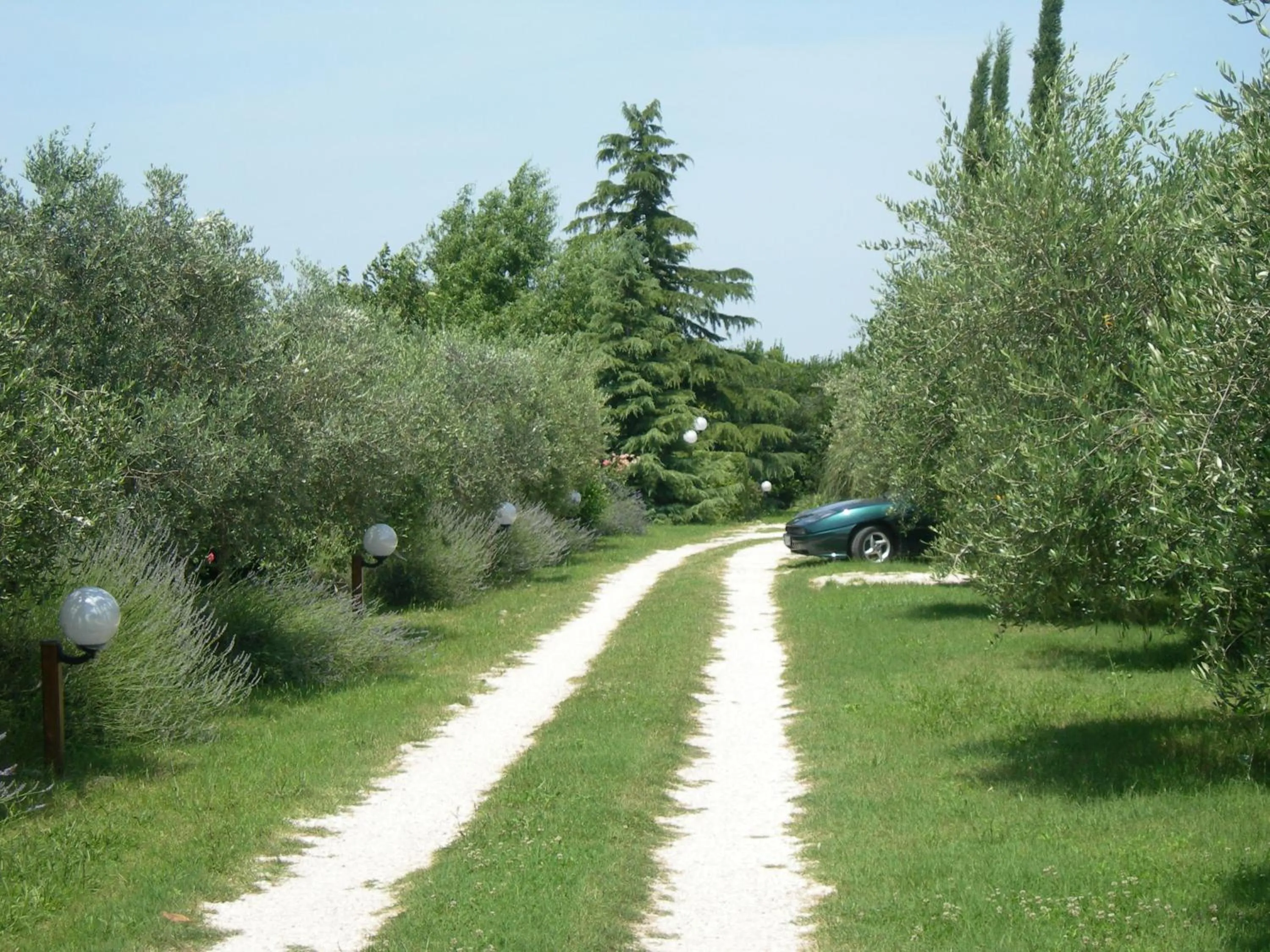 Vista Assisi