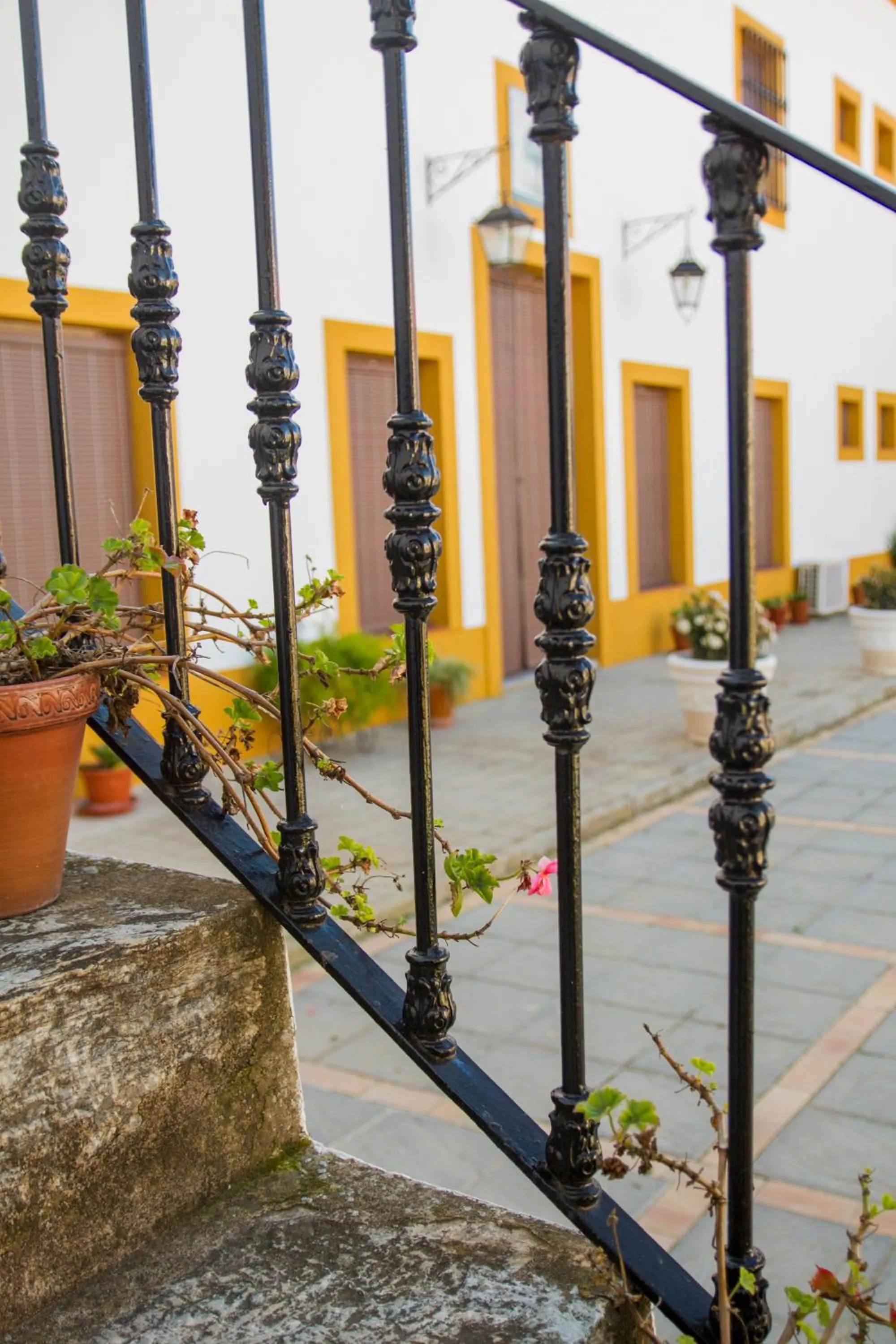 Area and facilities in Hotel Bodega el Moral