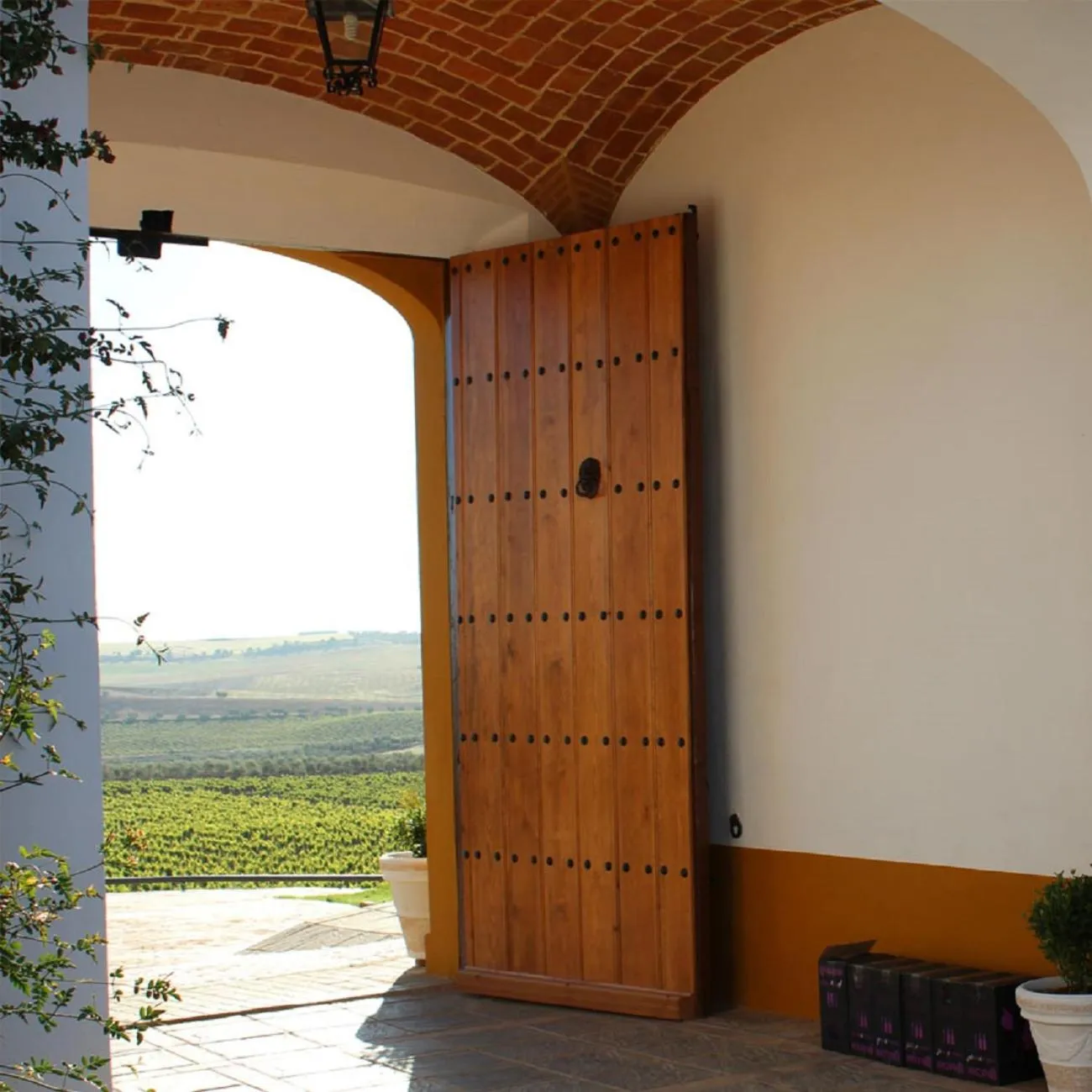 Landmark view in Hotel Bodega el Moral