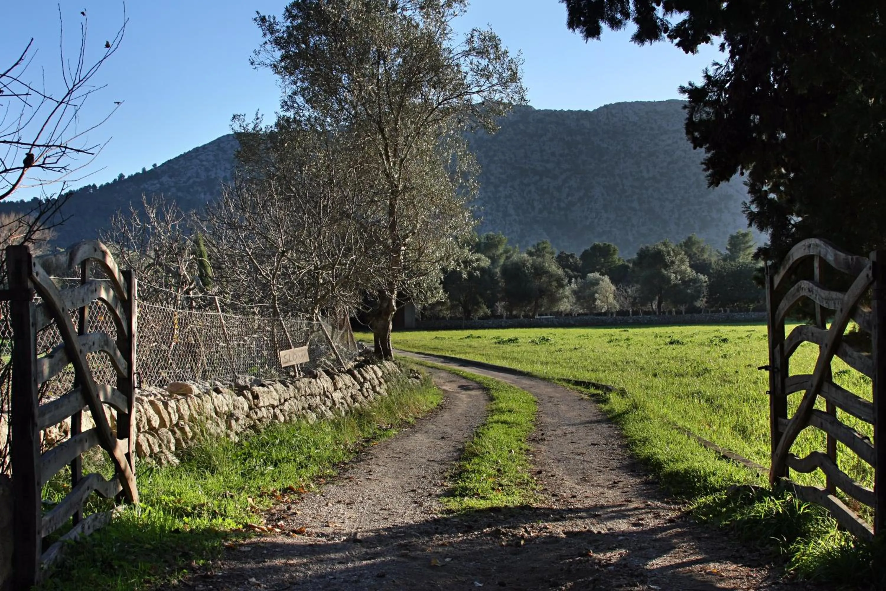Area and facilities in Holiday home Can Pontico