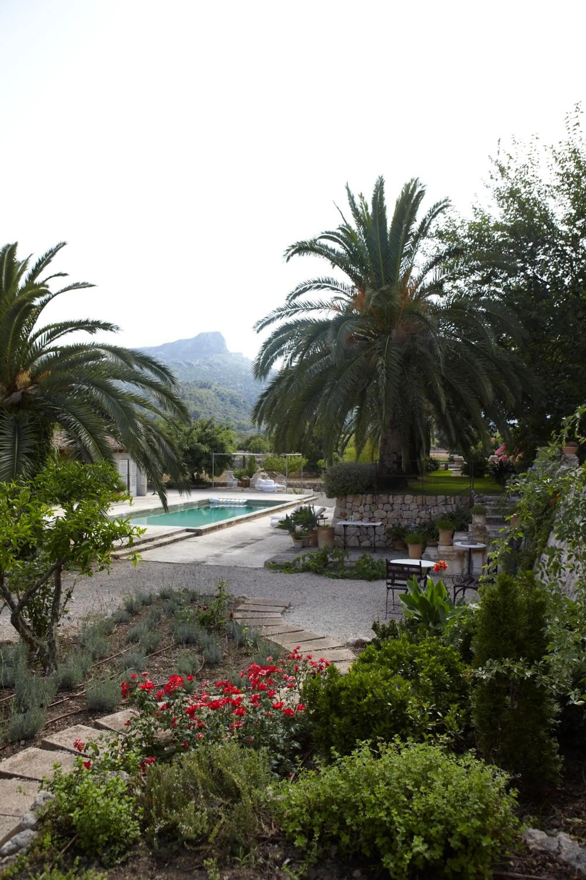 Area and facilities in Holiday home Can Pontico