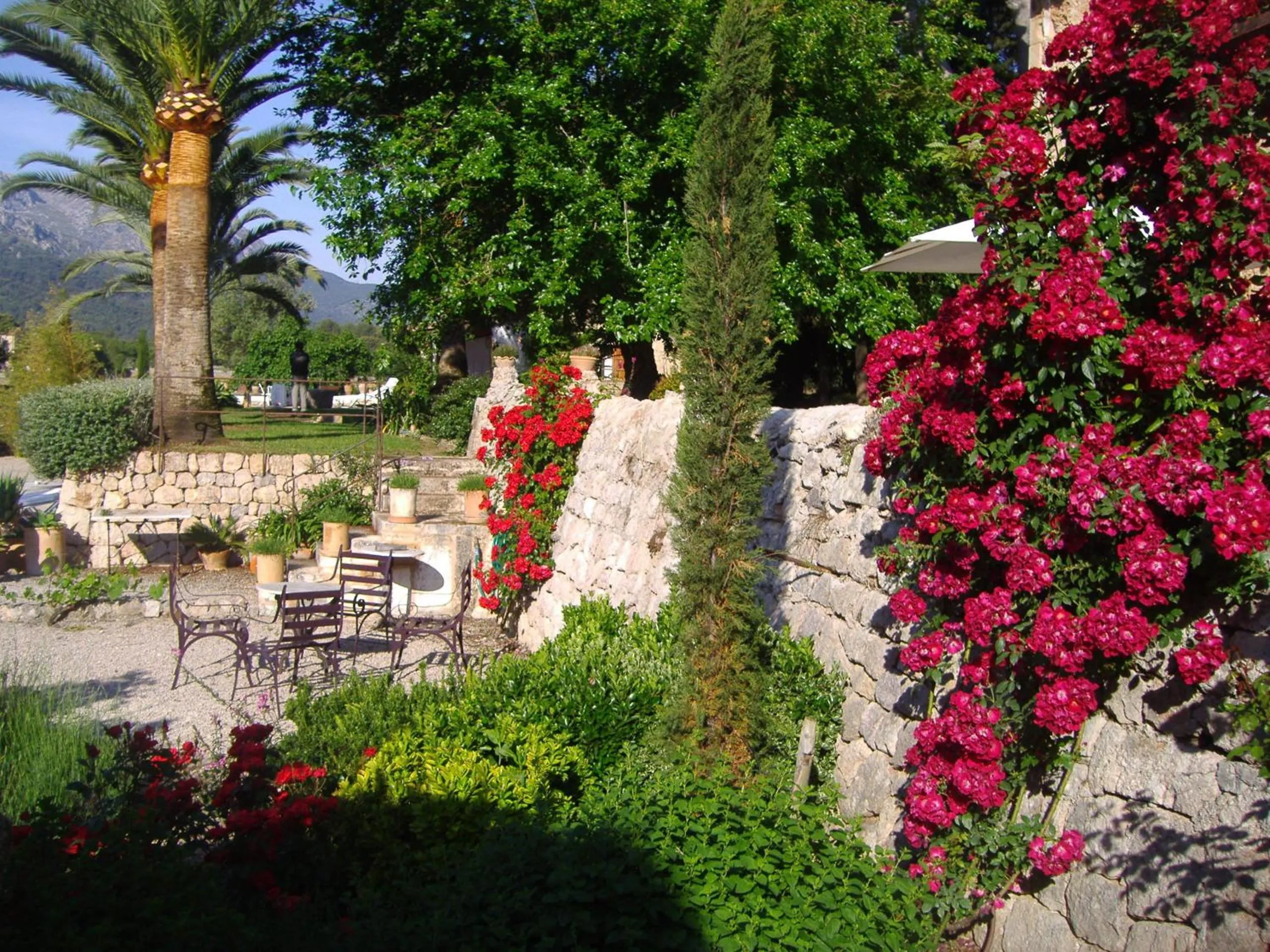 Area and facilities in Holiday home Can Pontico