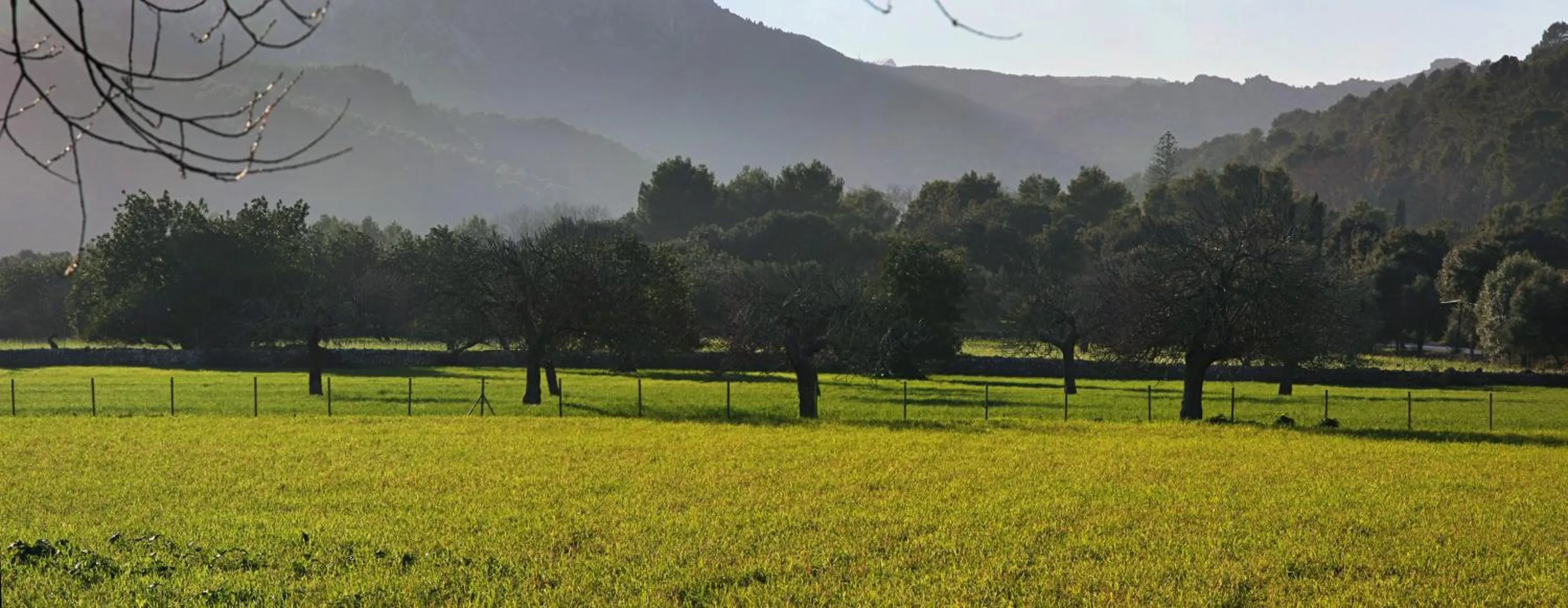 Natural landscape in Holiday home Can Pontico