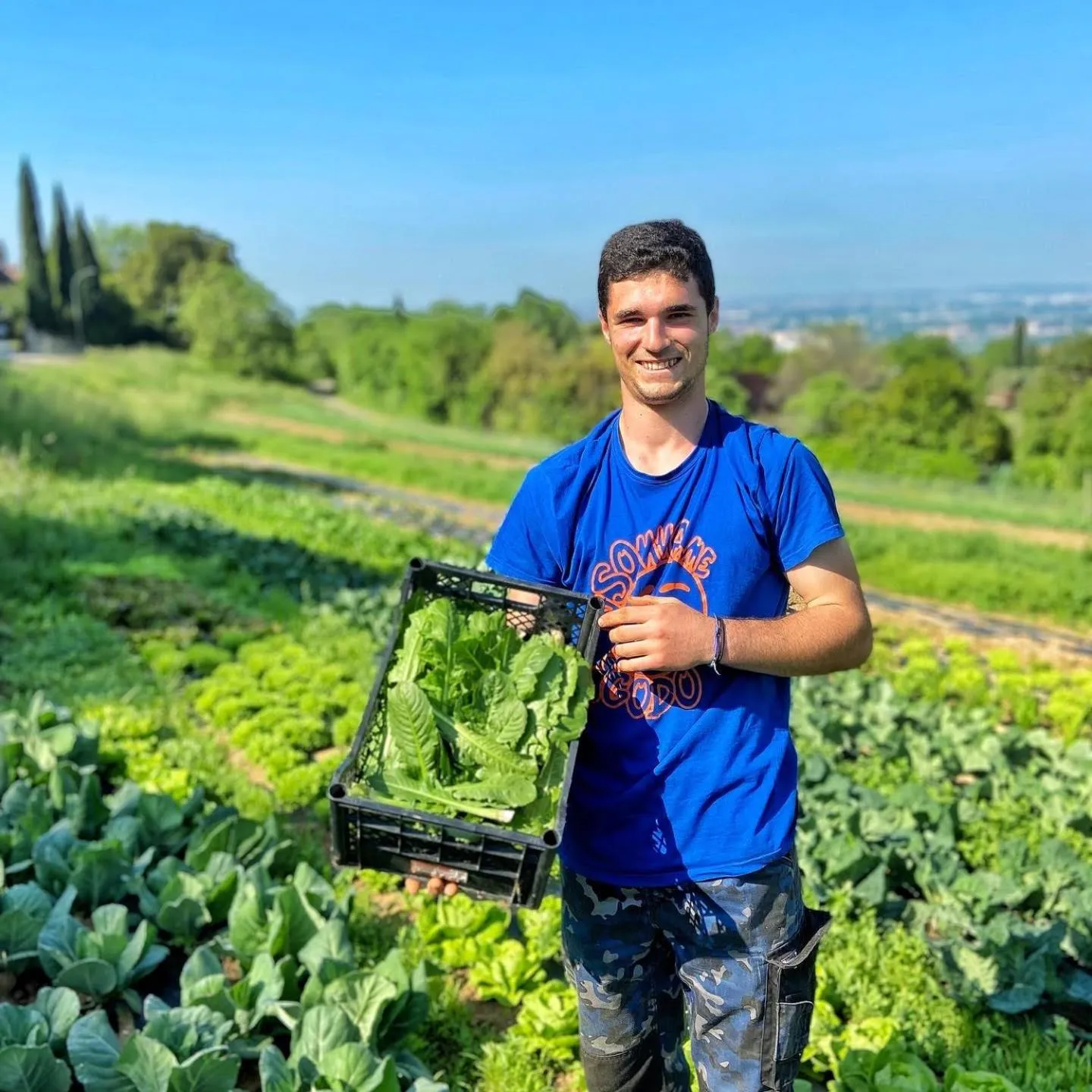 Garden in La Vineria di San Mattia