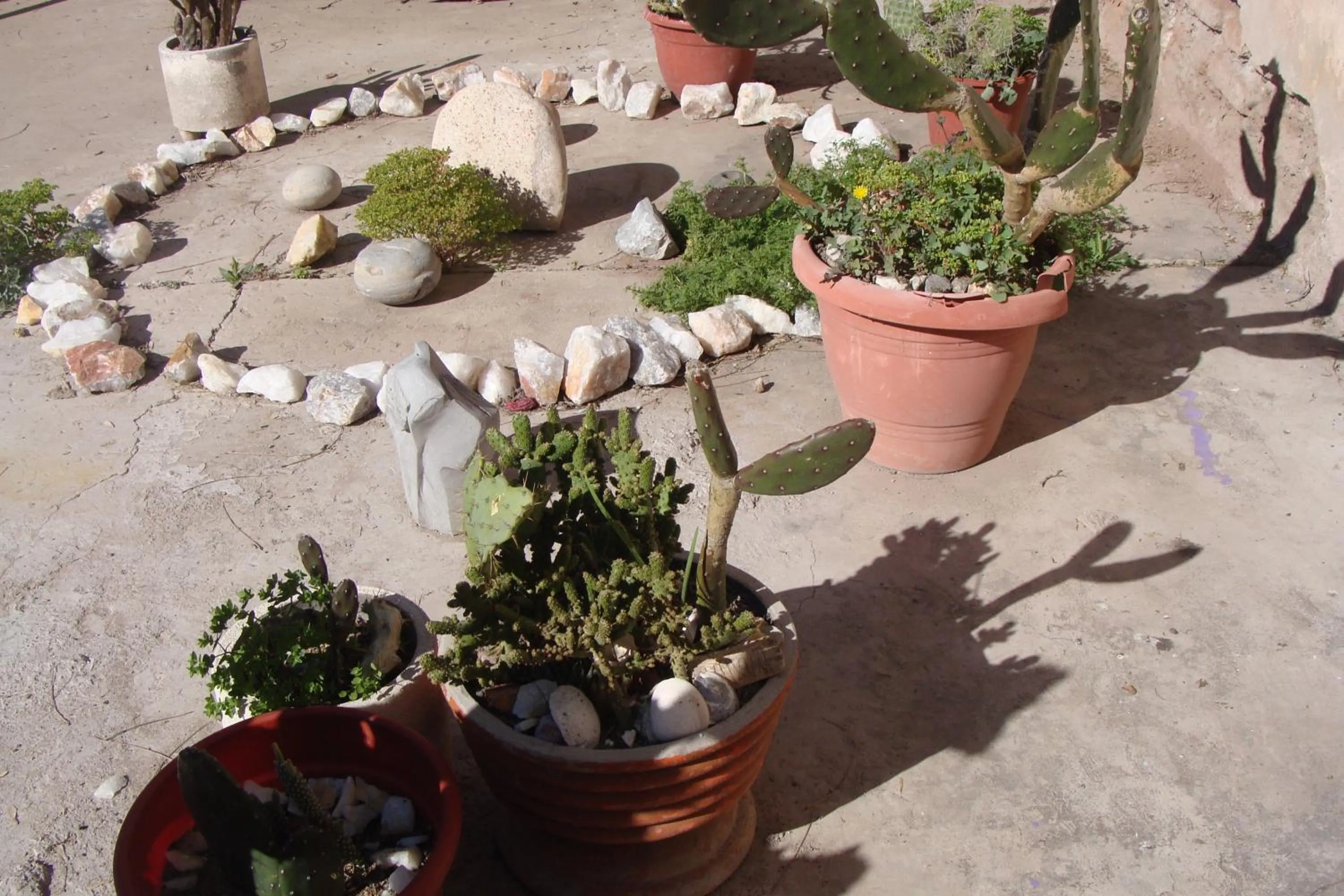 Garden in Intiaconcagua Habitacion familiar con baño privado