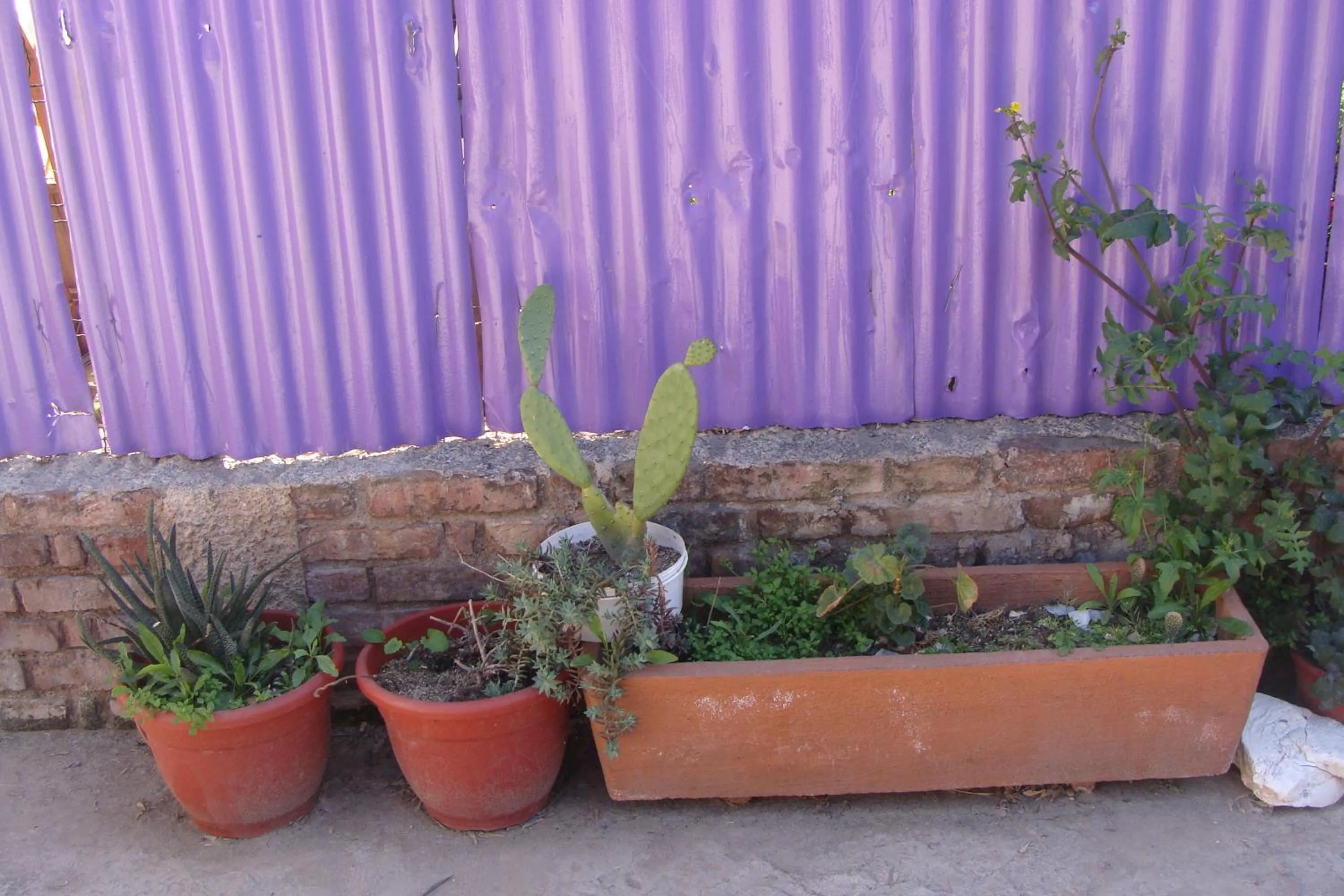 Garden in Intiaconcagua Habitacion familiar con baño privado