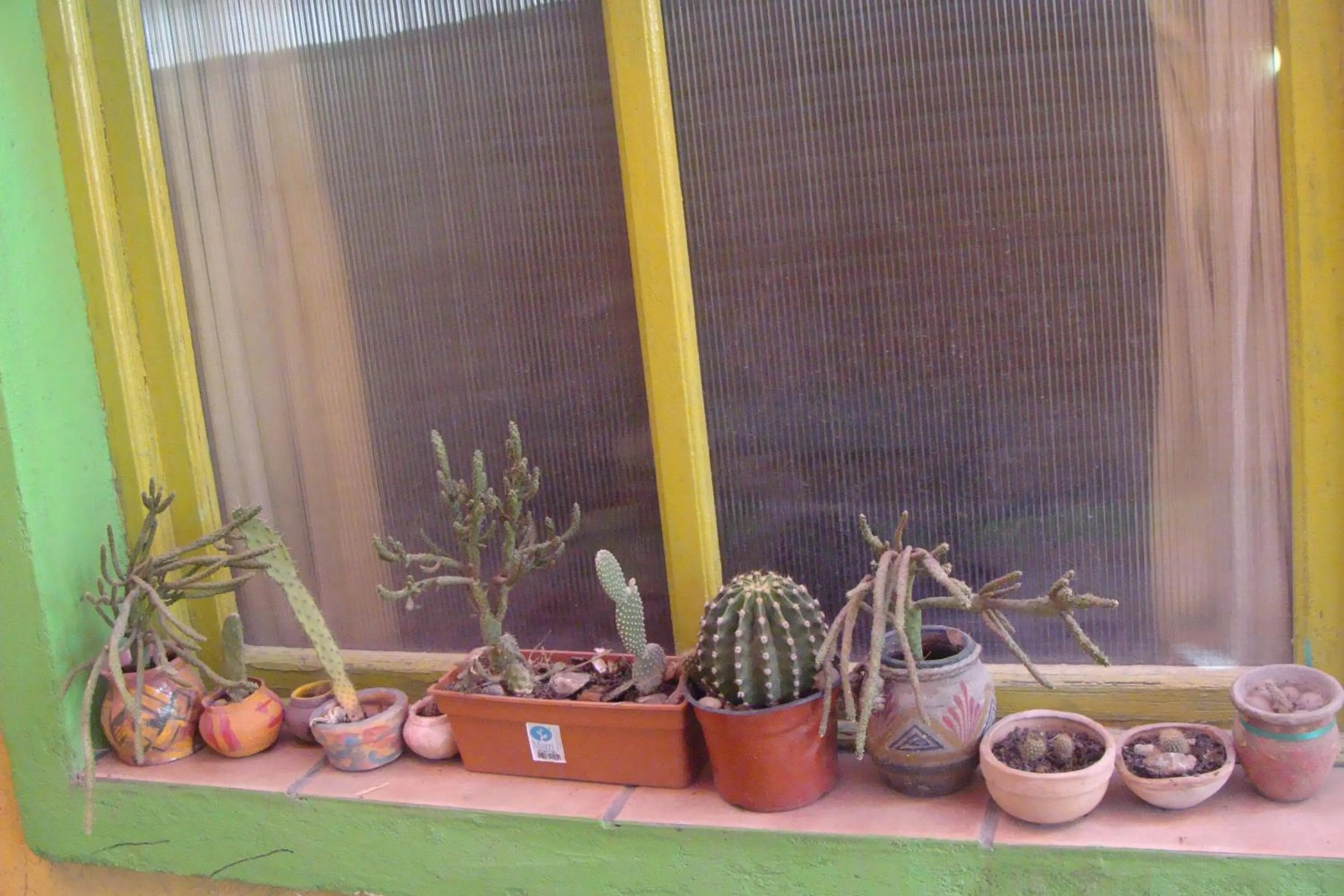 Garden in Intiaconcagua Habitacion familiar con baño privado