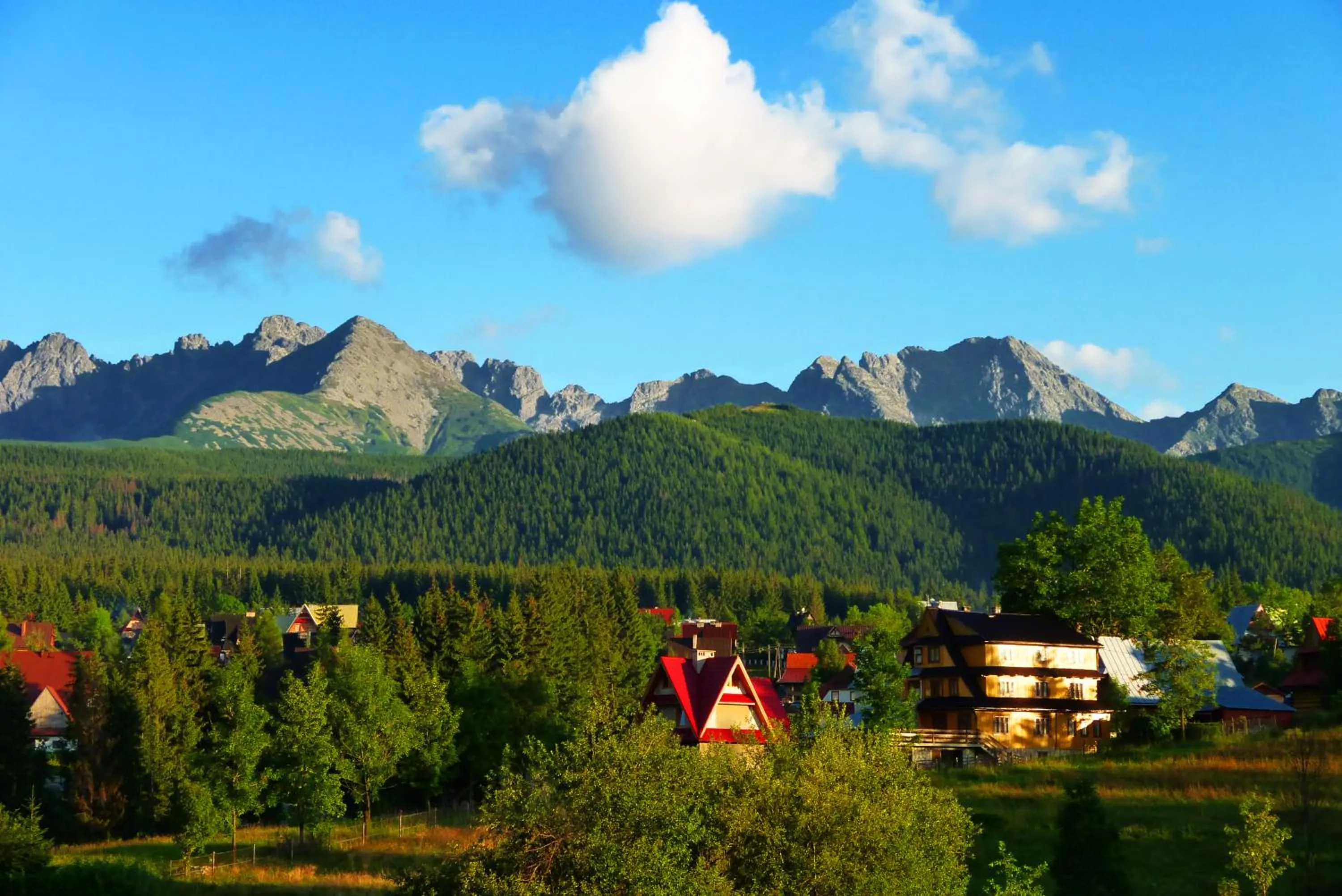 View (from property/room) in Zwijacz¿wka