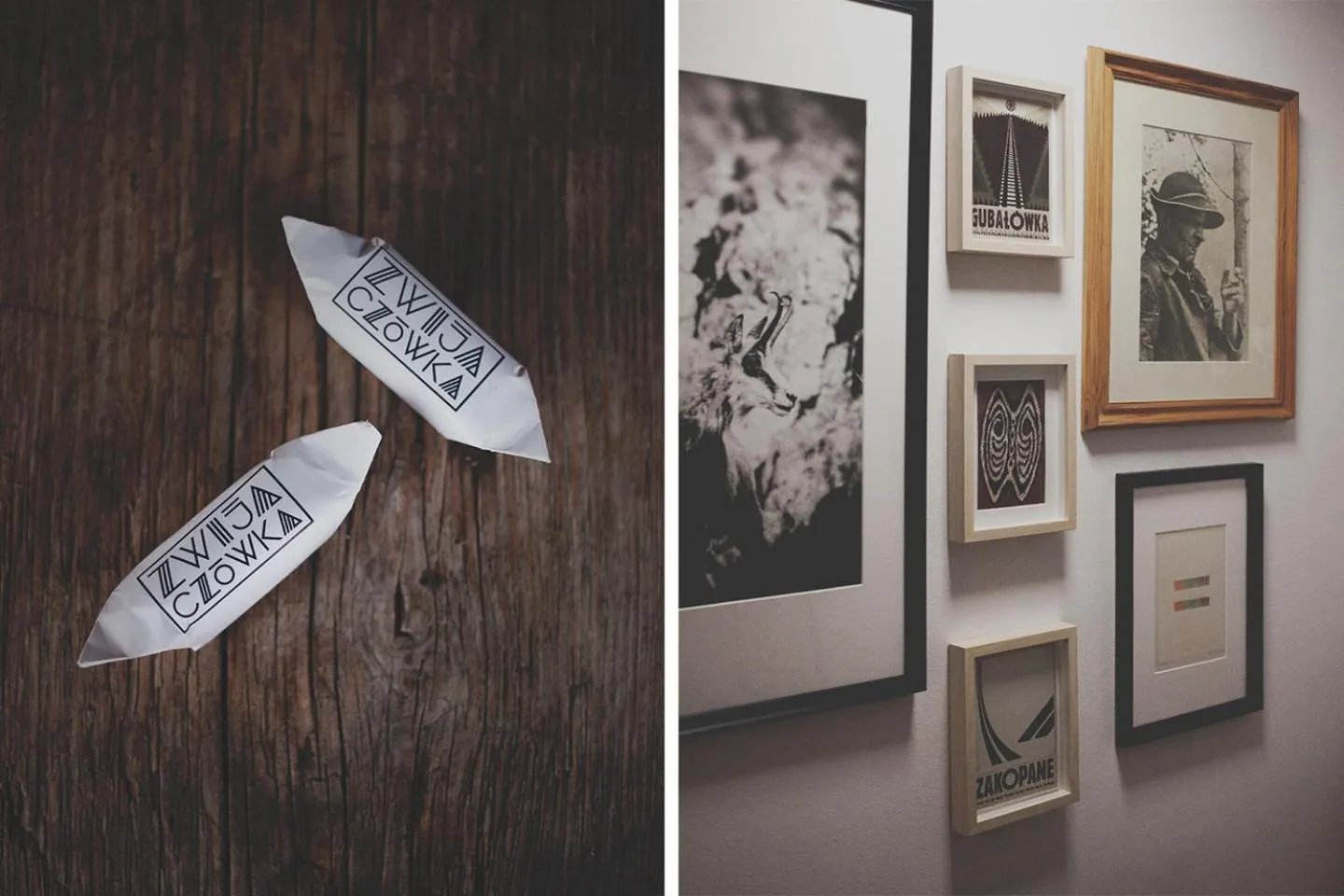 Decorative detail in Zwijacz¿wka