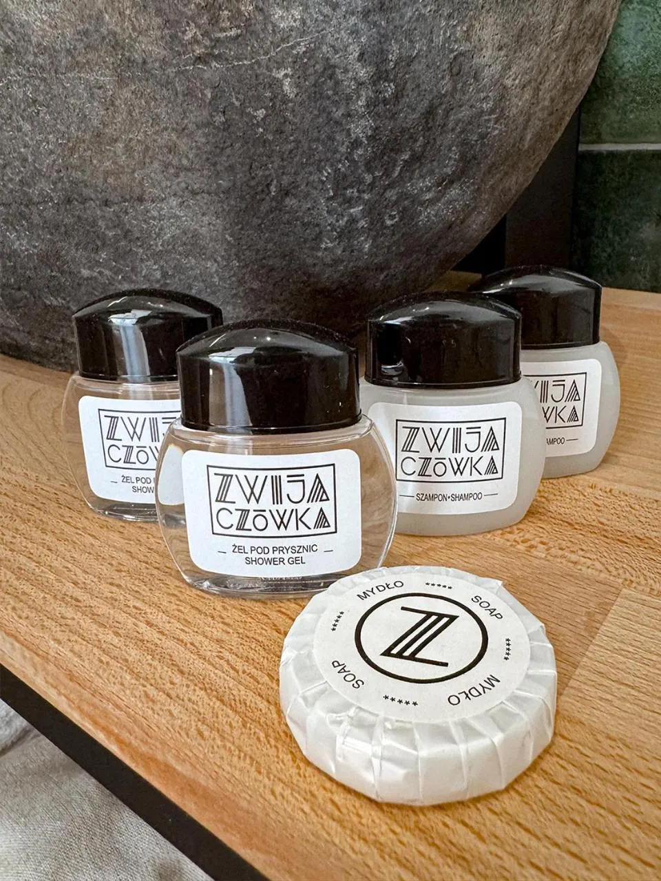 Bathroom in Zwijaczówka