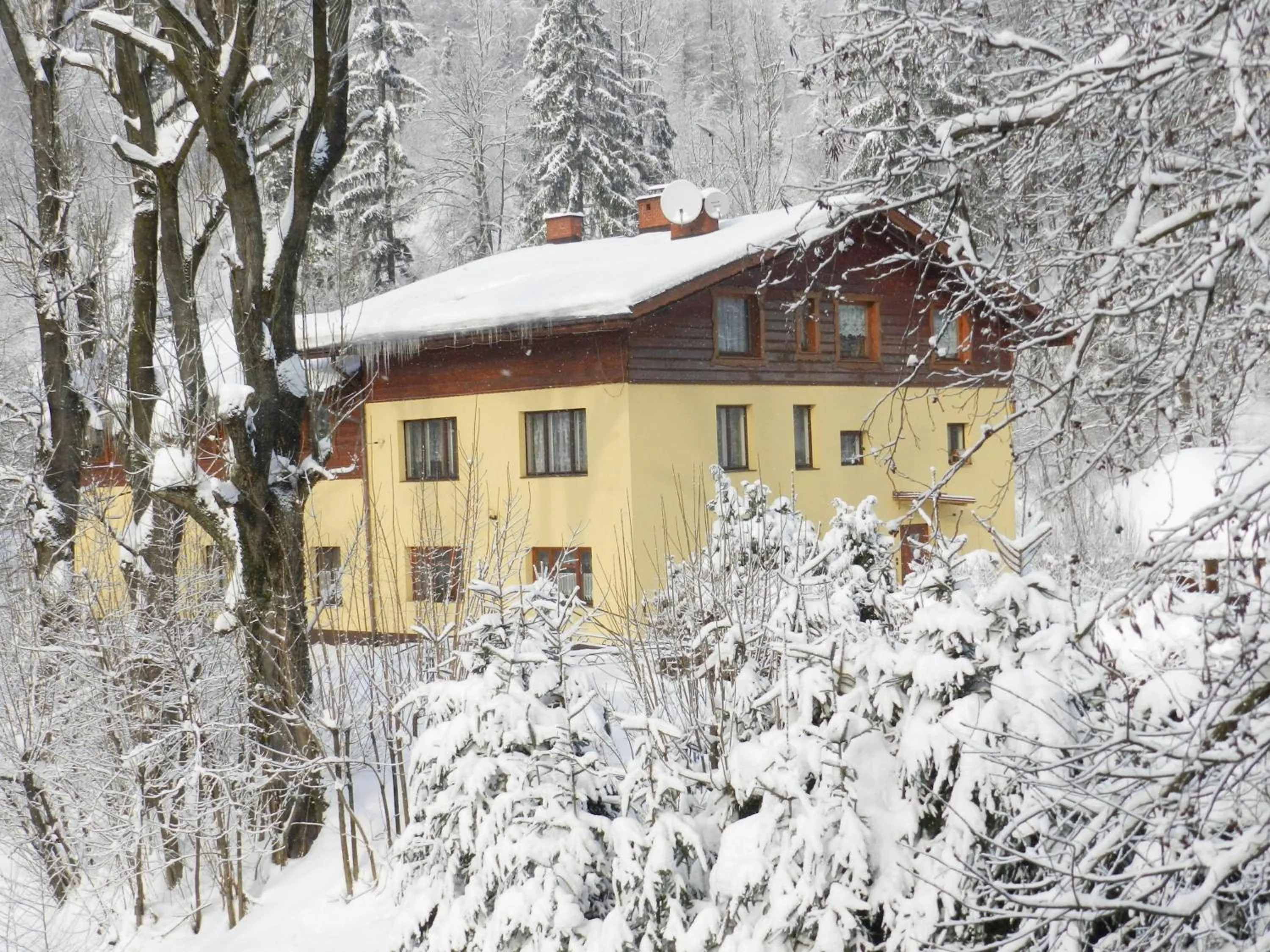 Winter in Willa Emilia