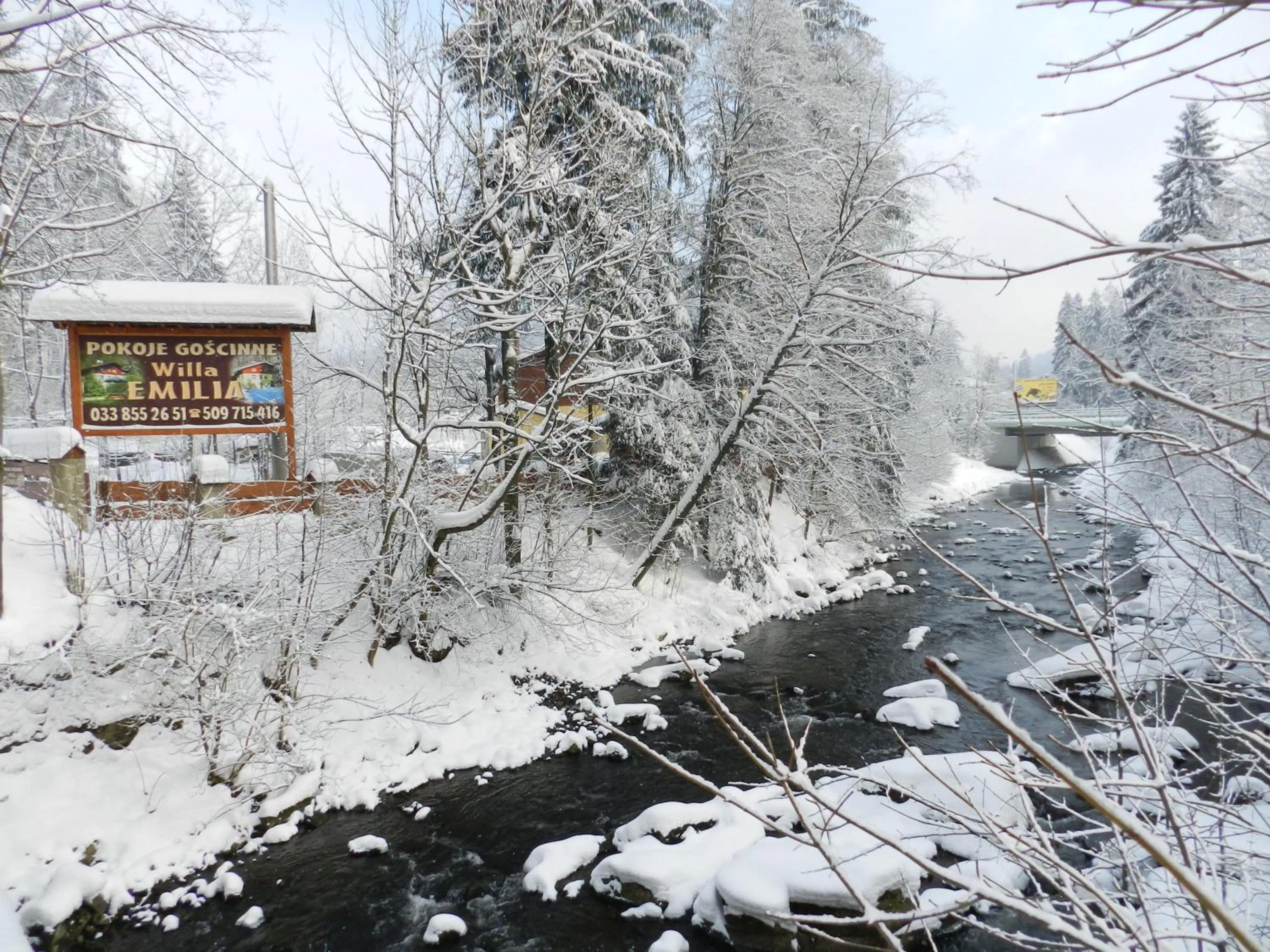 Winter in Willa Emilia