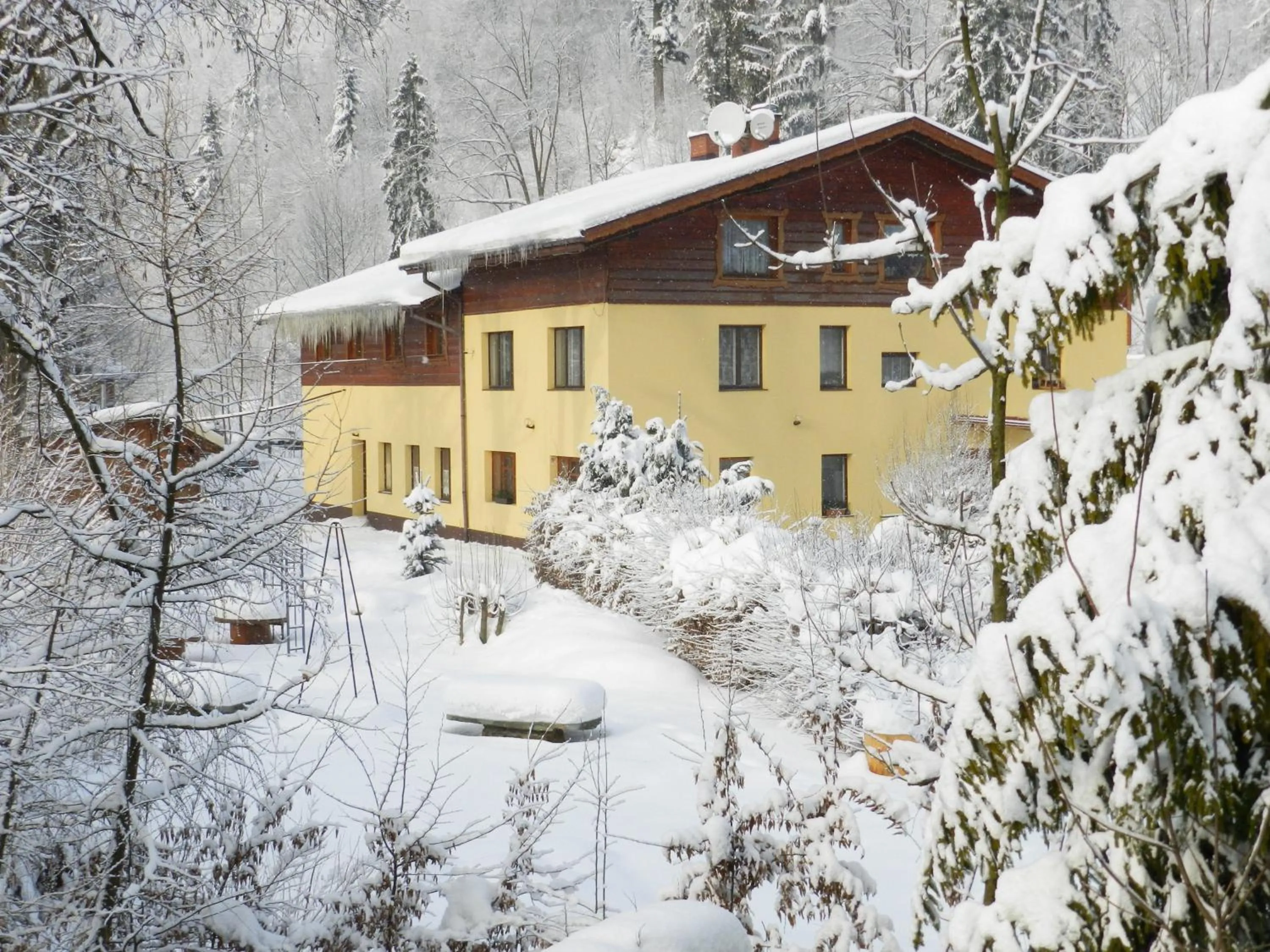 Winter in Willa Emilia