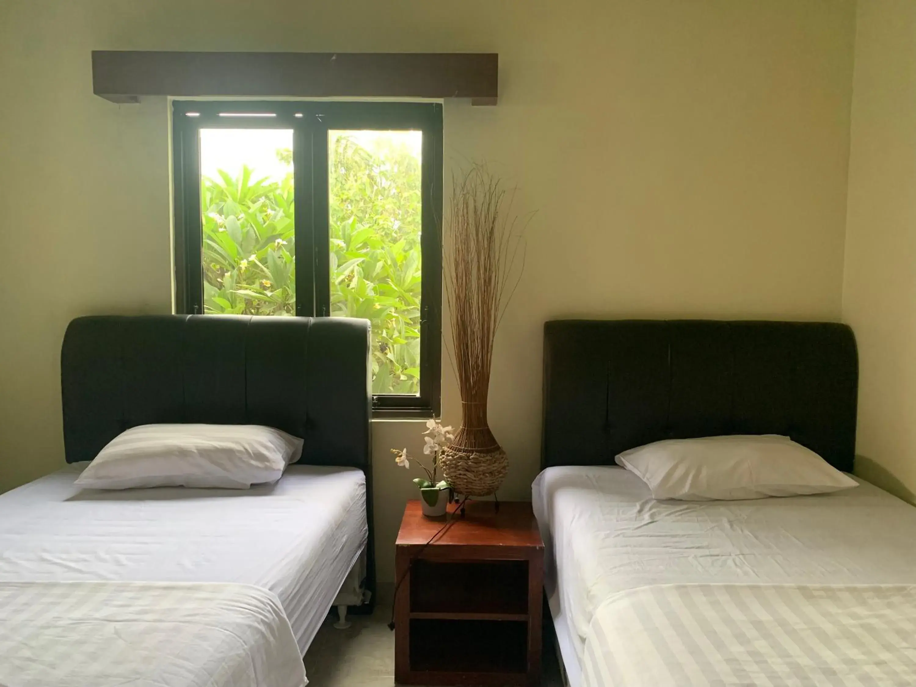 Double or Twin Room with Private Bathroom - single occupancy in Cozy Palm Villa Double or Twin Room with Private Bathroom - single occupancy in Cozy Palm Villa