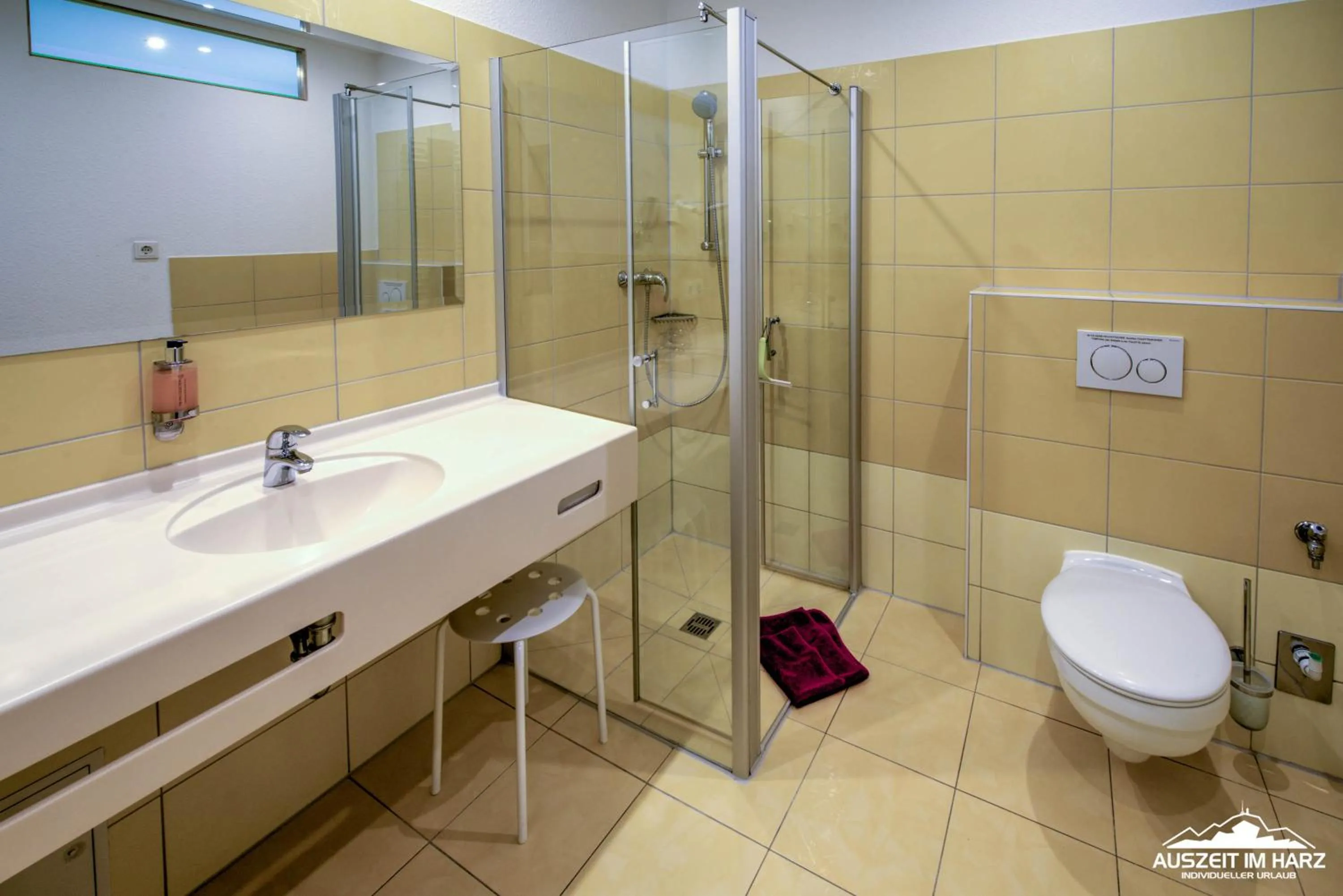 Auszeit-im-Harz Haus 6 Wohnung 1